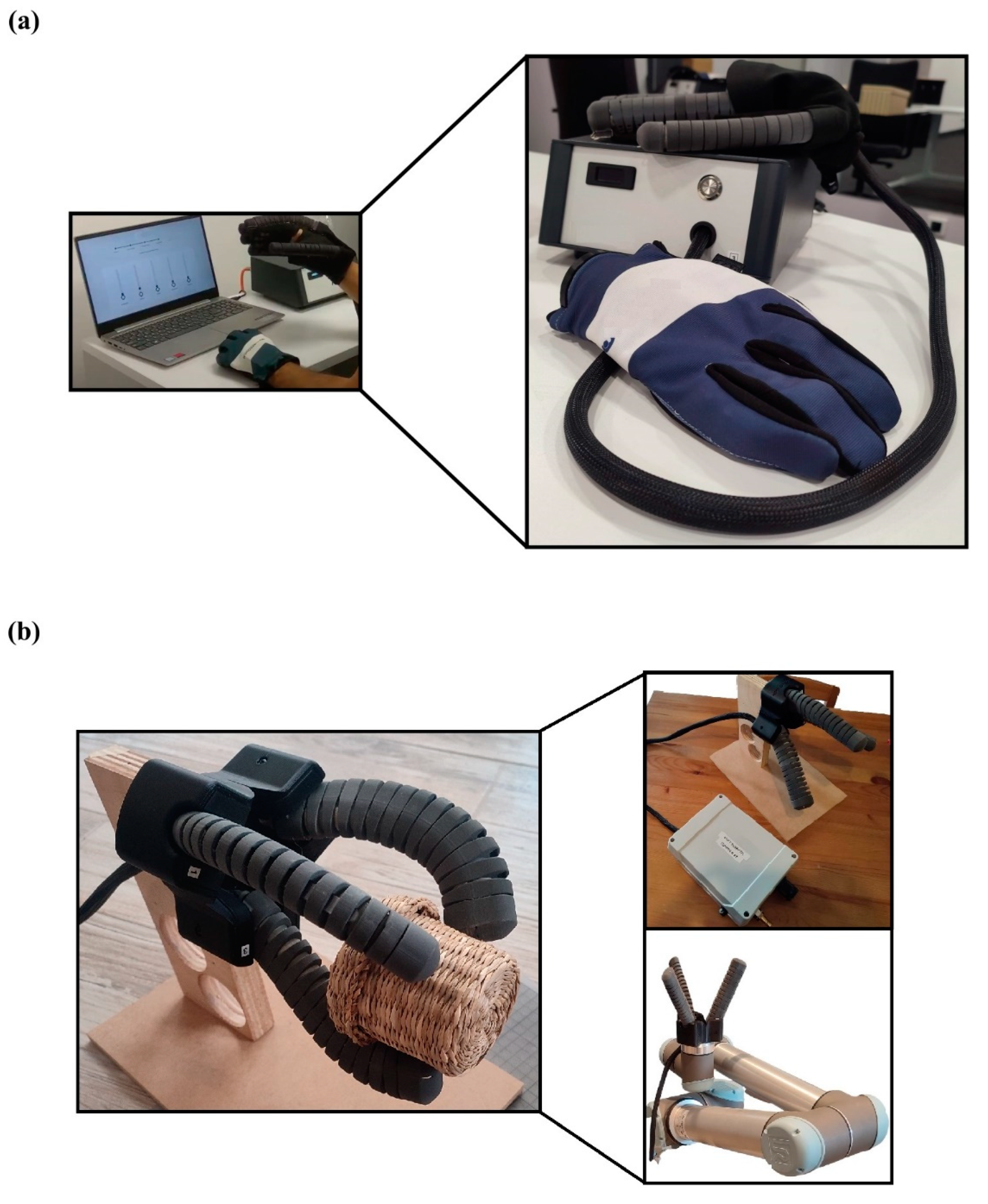 Biomimetics 07 00105 g009
