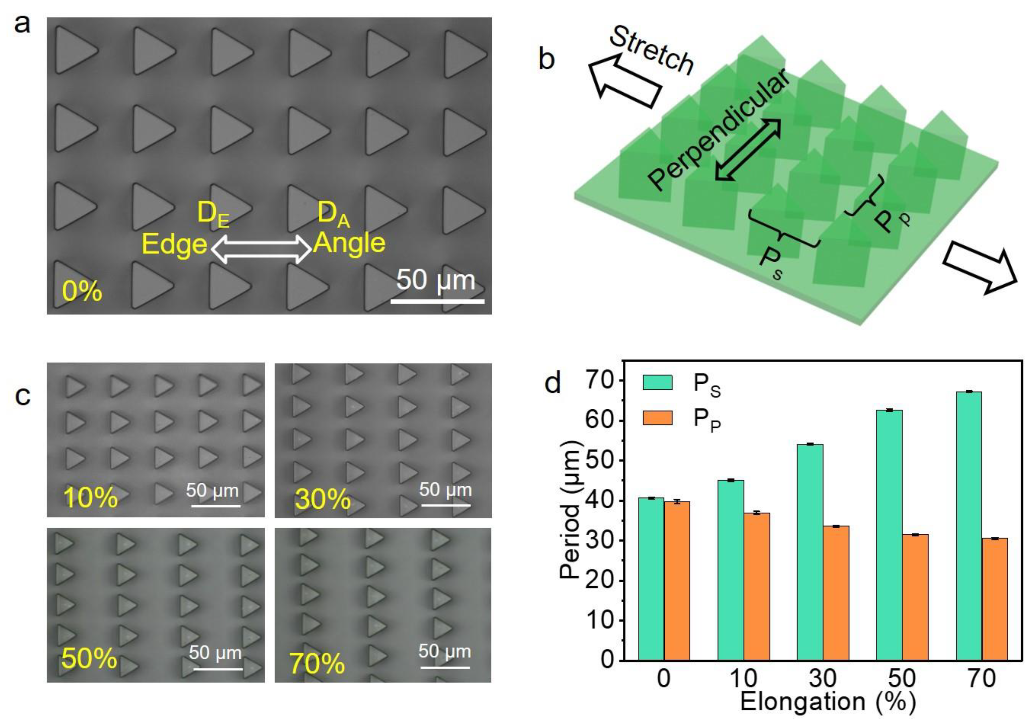 Biomimetics 07 00108 g002