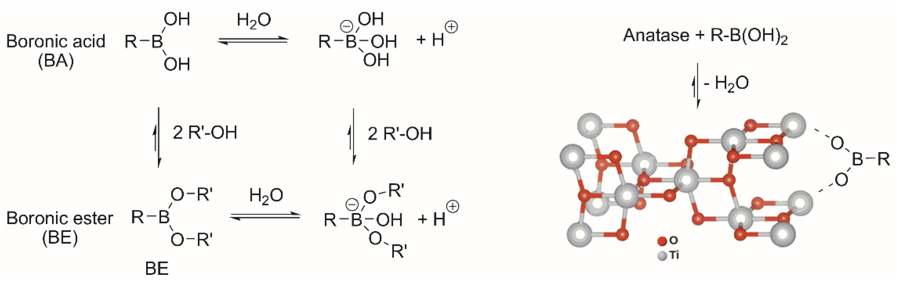 Biomimetics 07 00110 g002