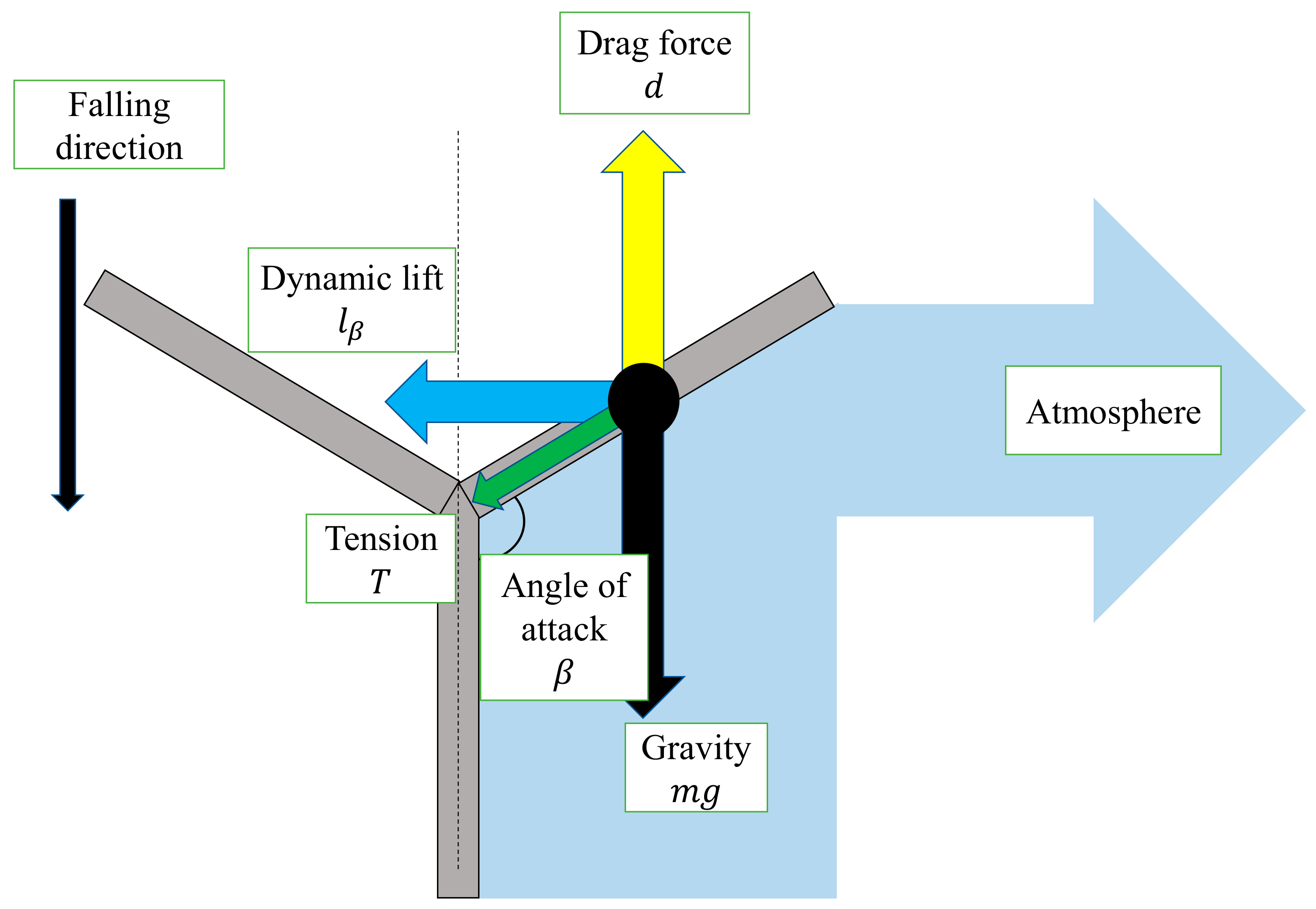 Biomimetics 07 00114 g008
