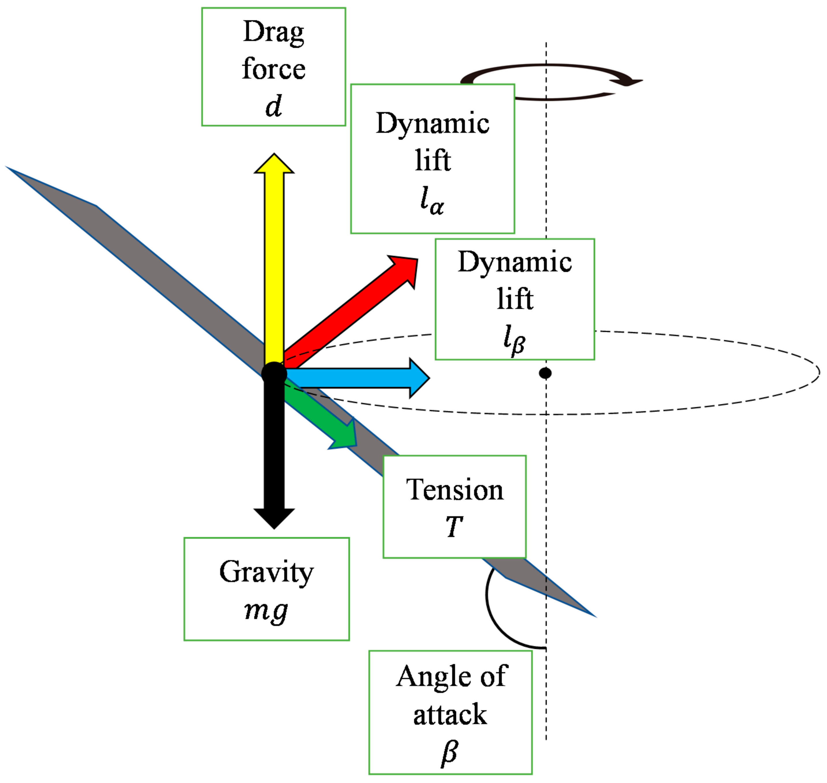 Biomimetics 07 00114 g010