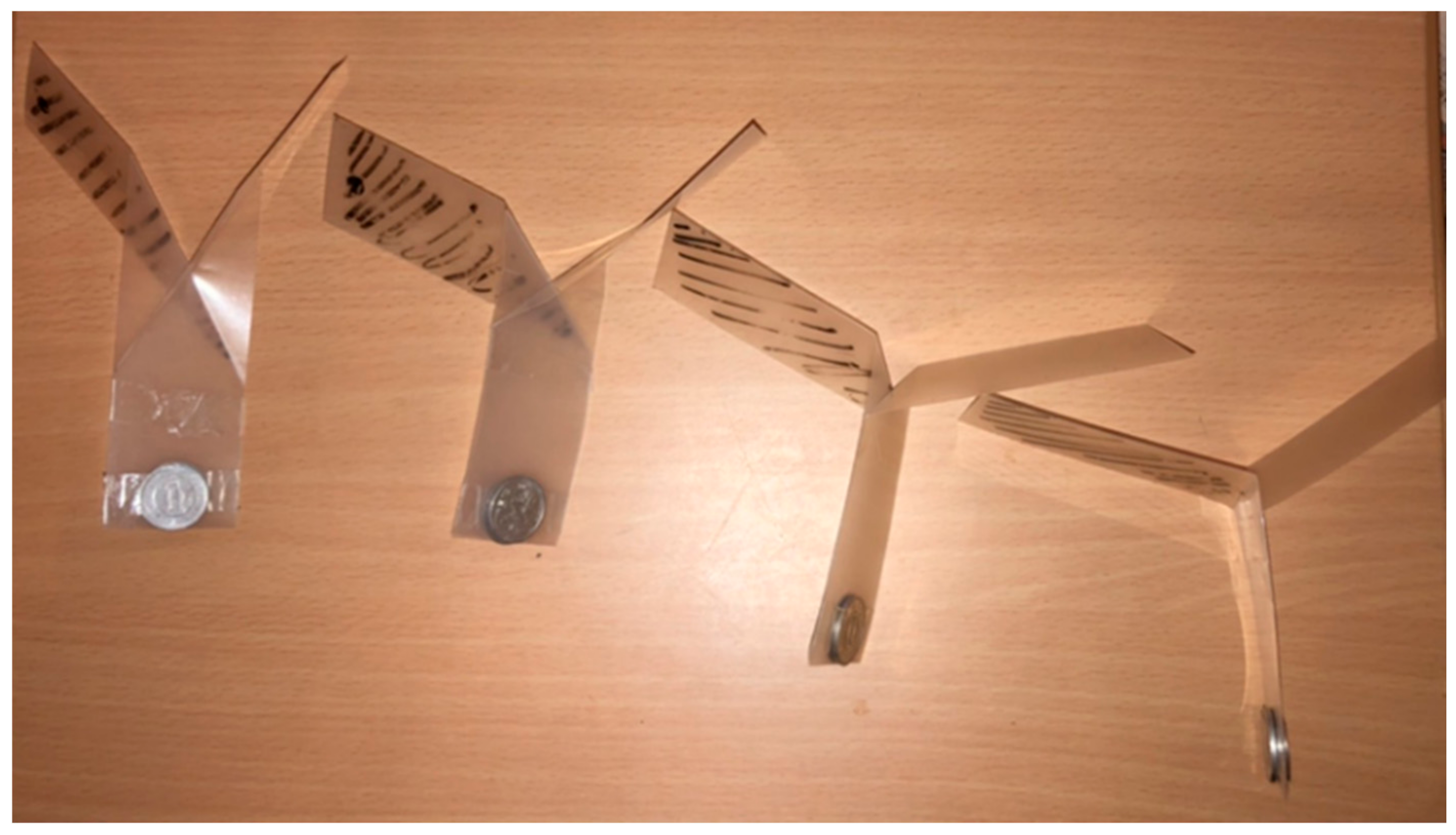 Biomimetics 07 00114 g011