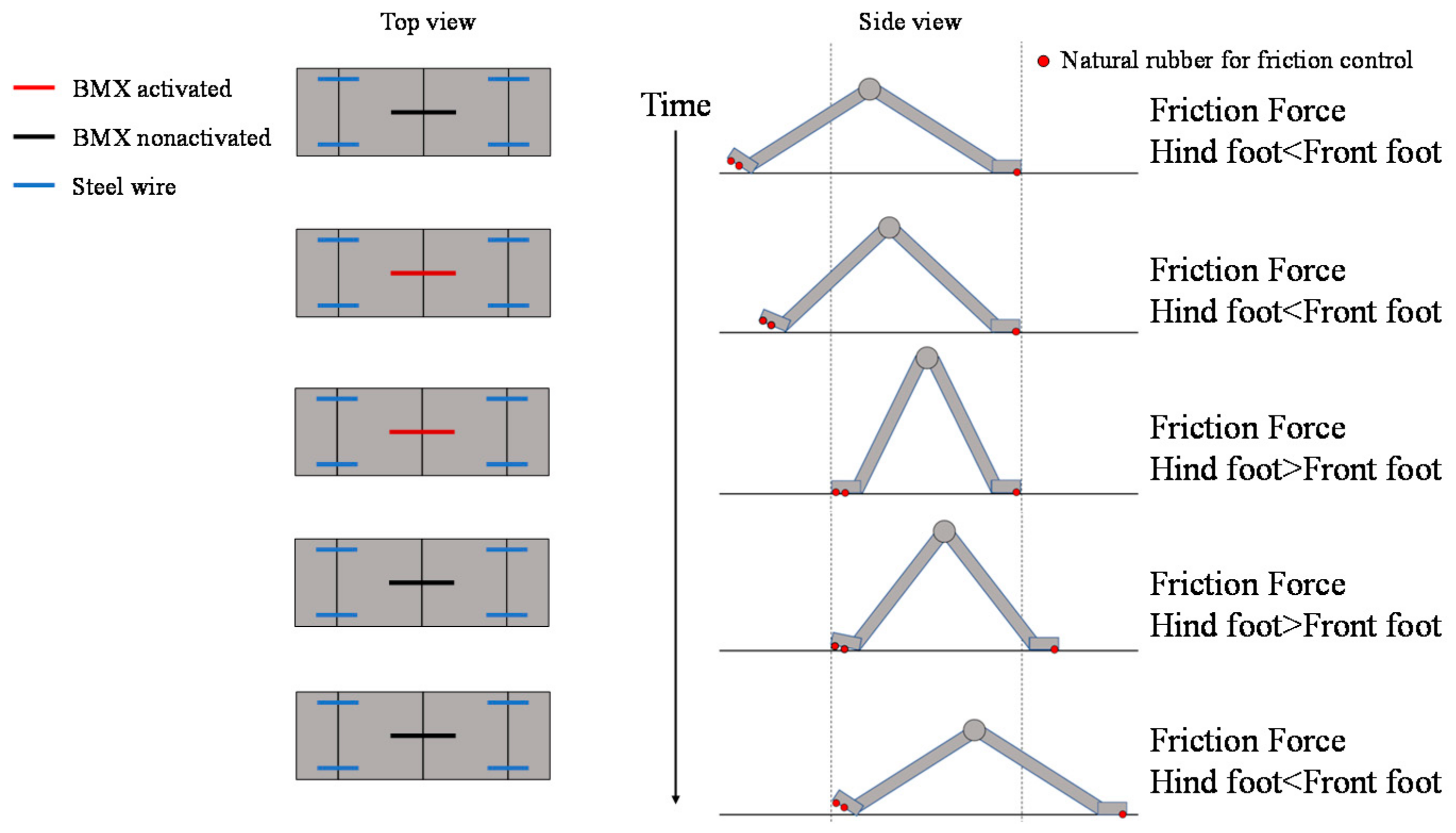 Biomimetics 07 00114 g015