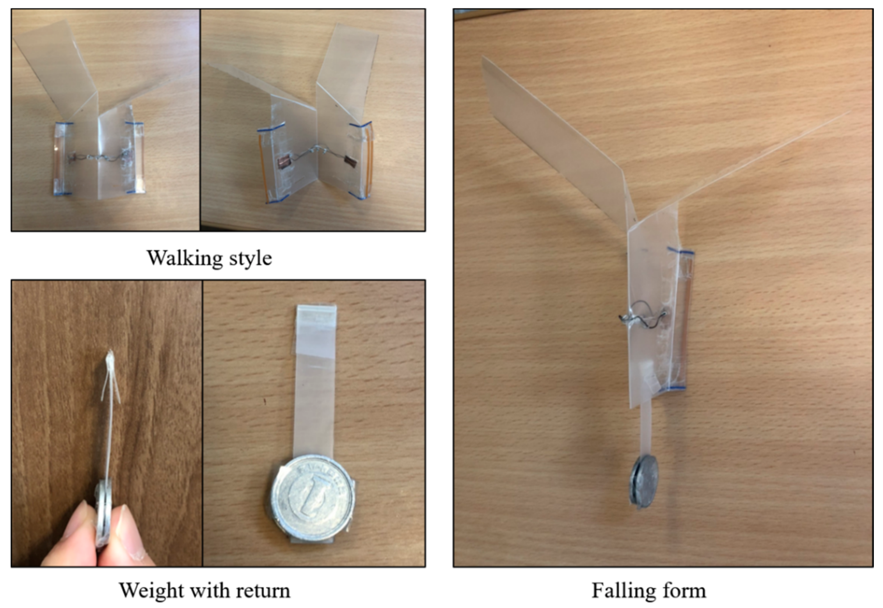 Biomimetics 07 00114 g016