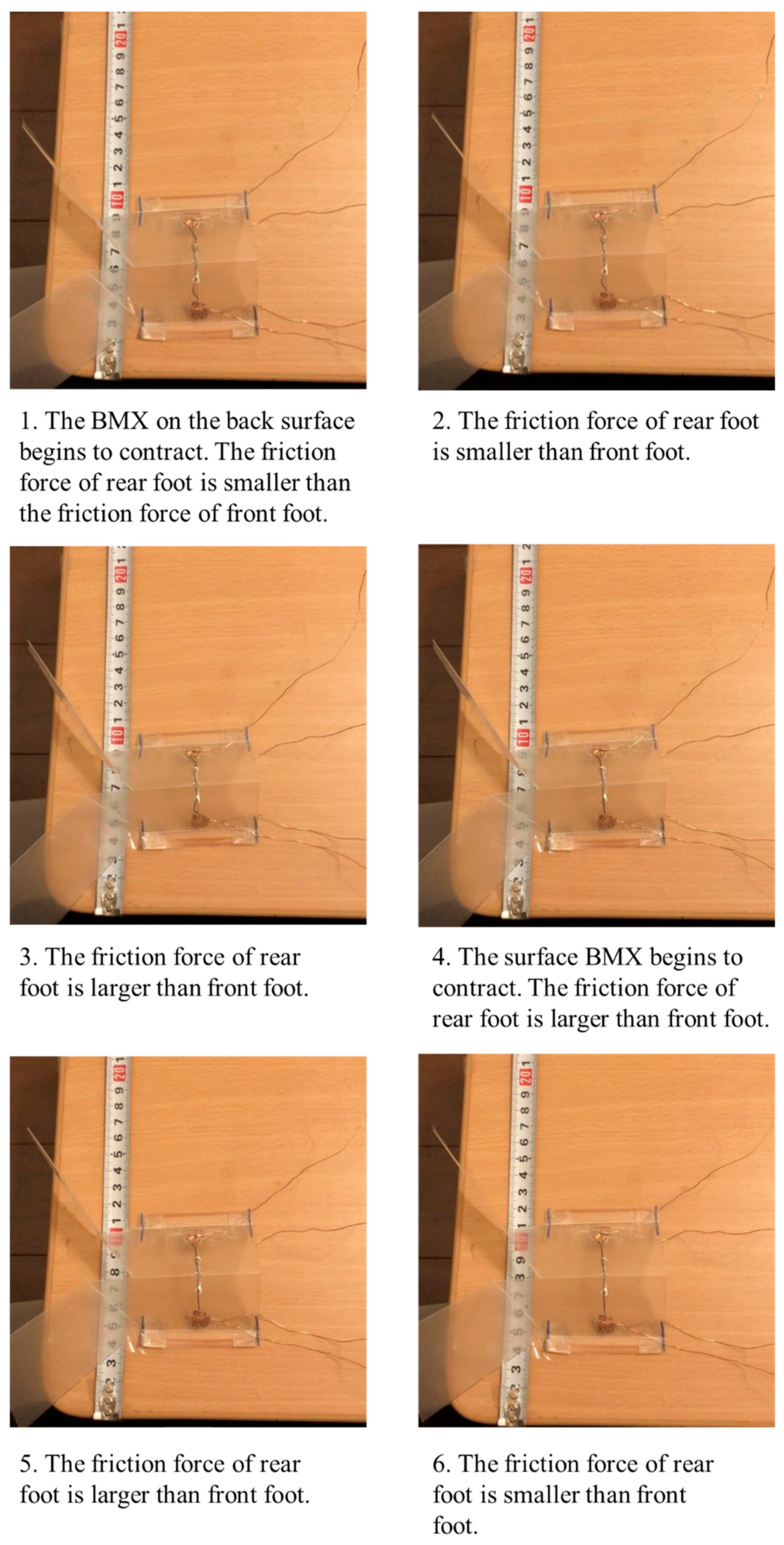 Biomimetics 07 00114 g018