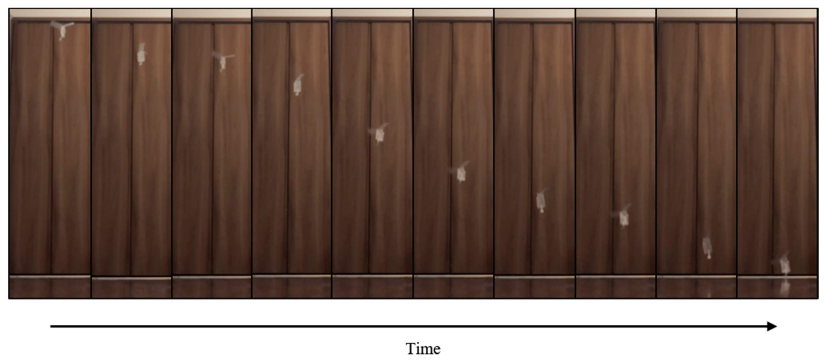 Biomimetics 07 00114 g019