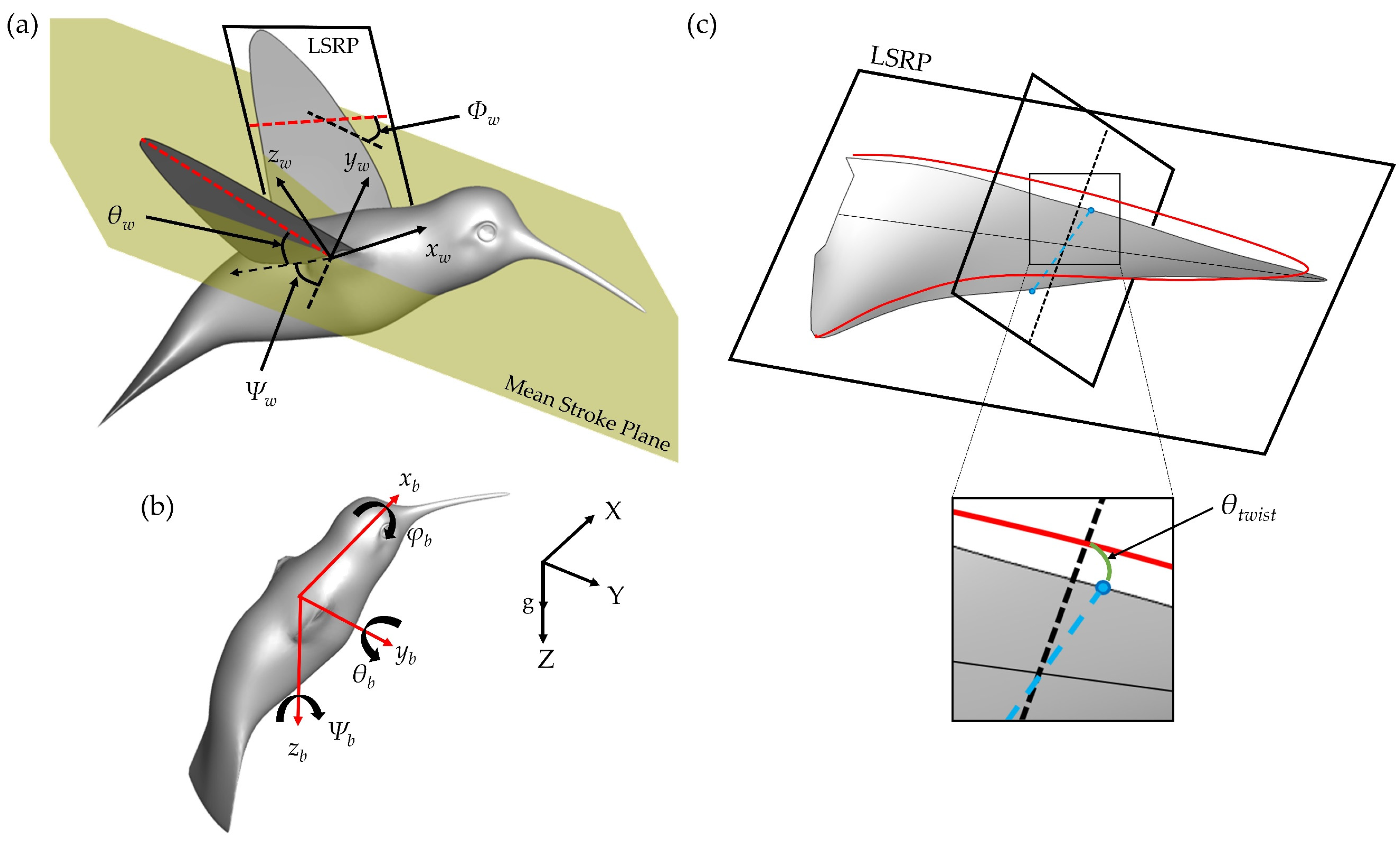 Biomimetics 07 00115 g002 Biomimetics 07 00115 g002