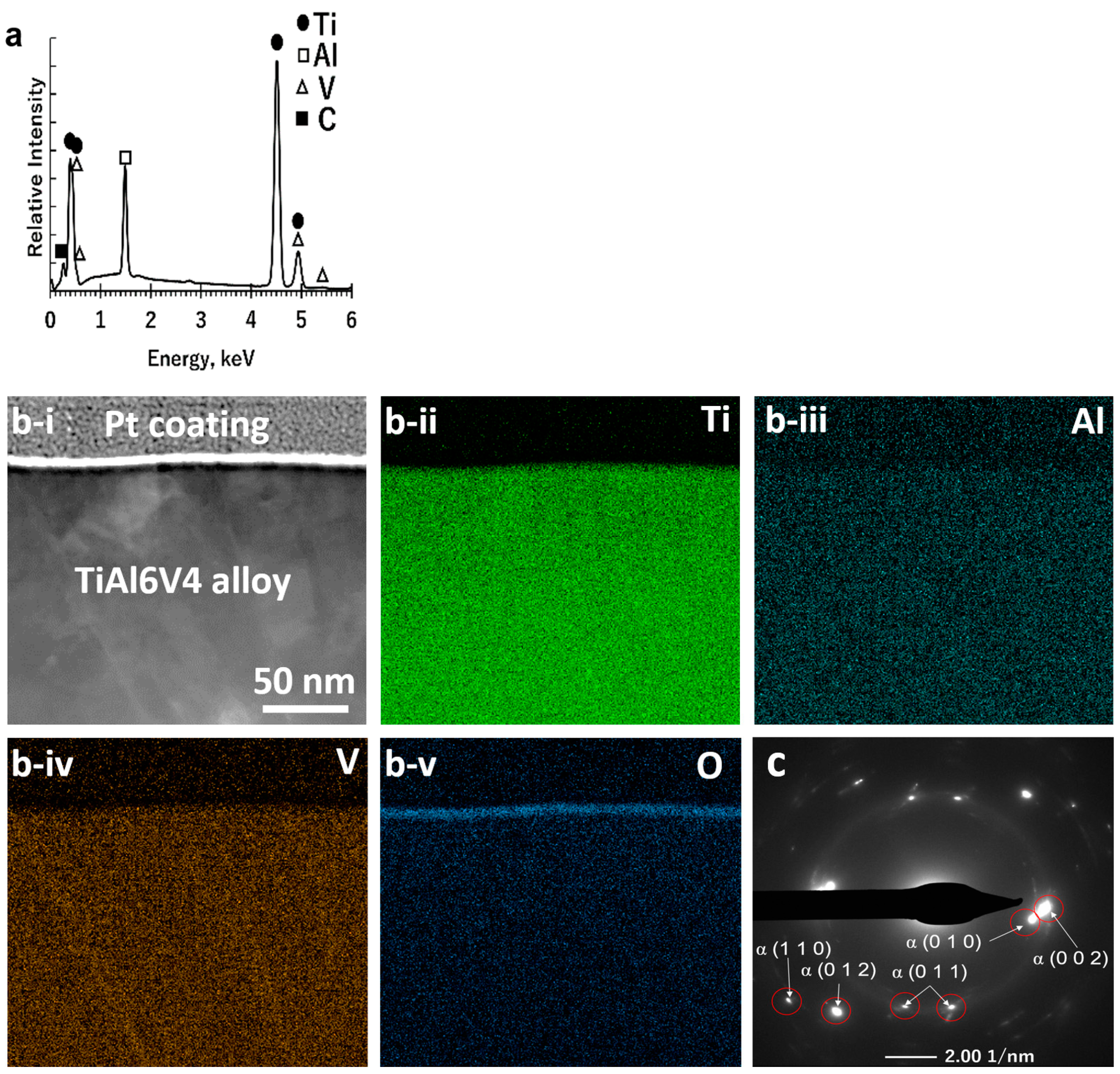 Biomimetics 07 00117 g002