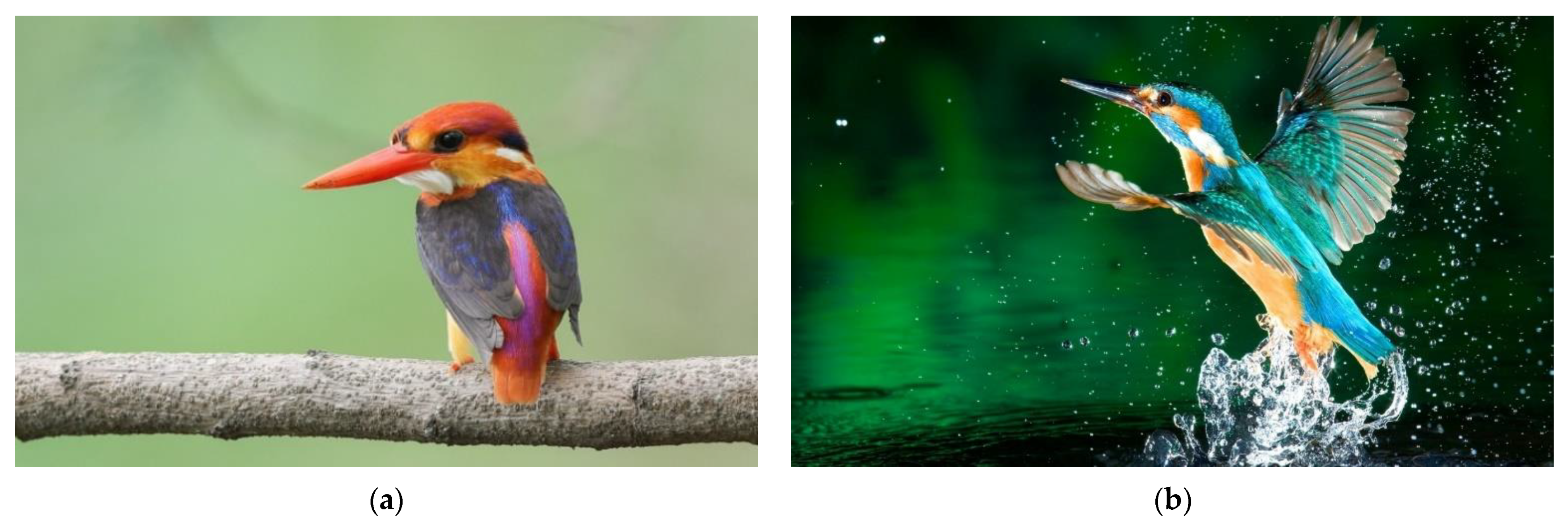 Biomimetics 07 00123 g001