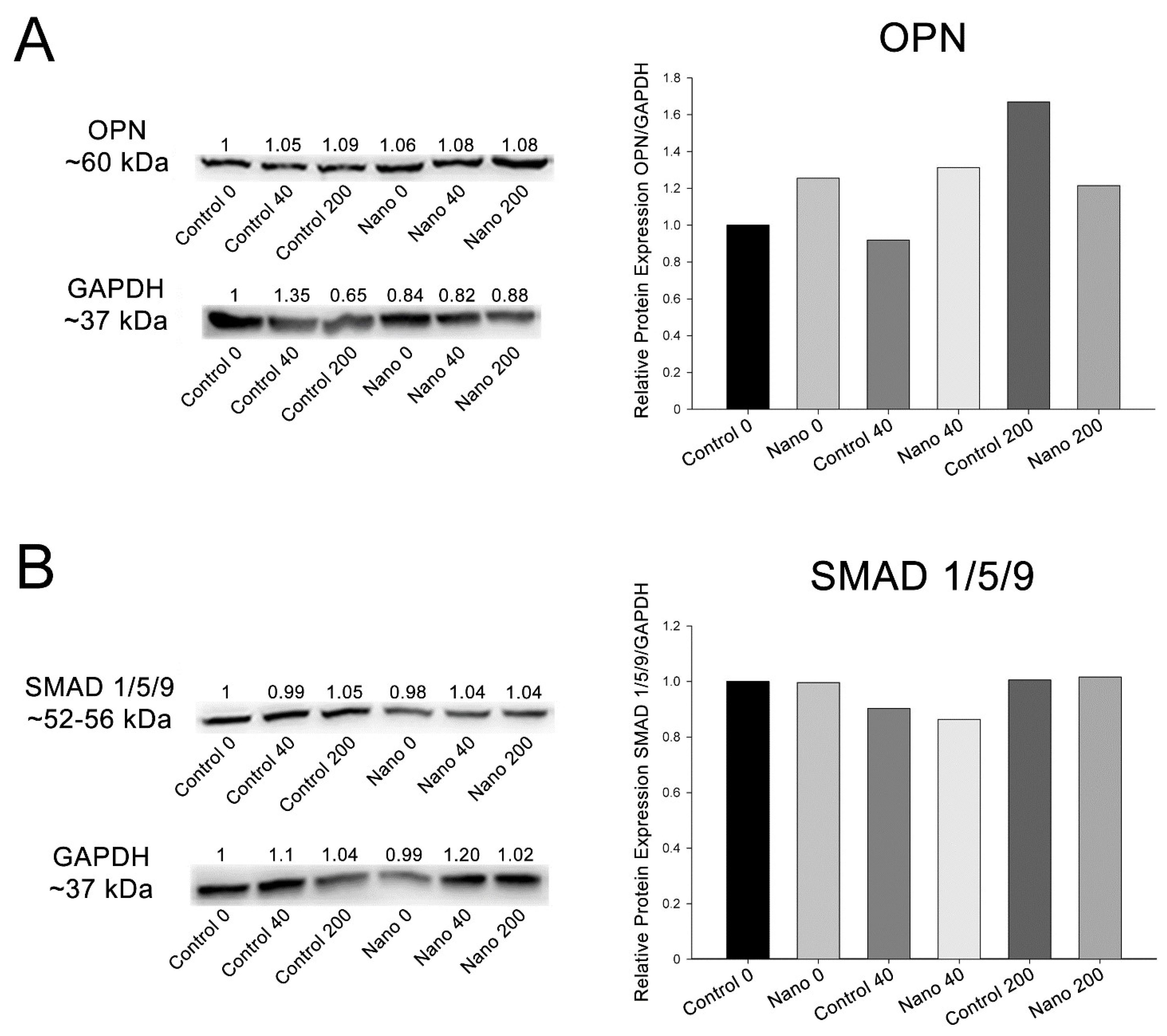 Biomimetics 07 00136 g005