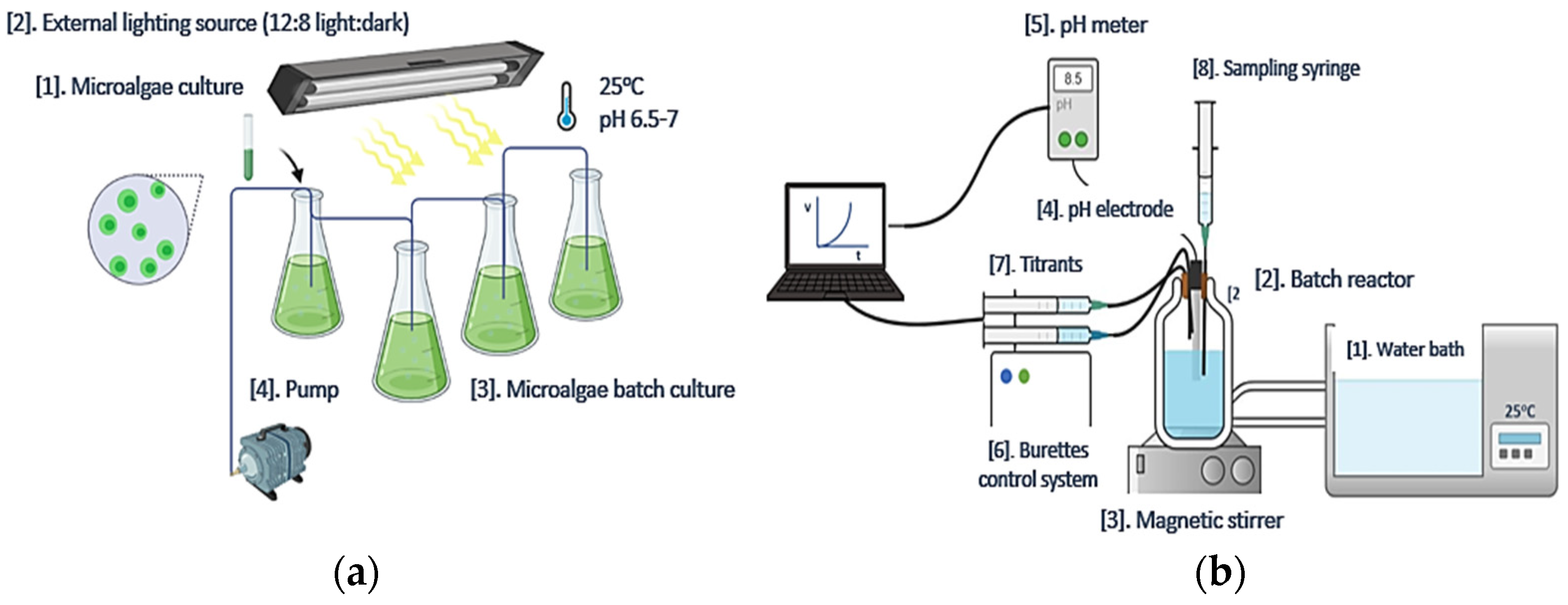 Biomimetics 07 00140 g001 Biomimetics 07 00140 g001