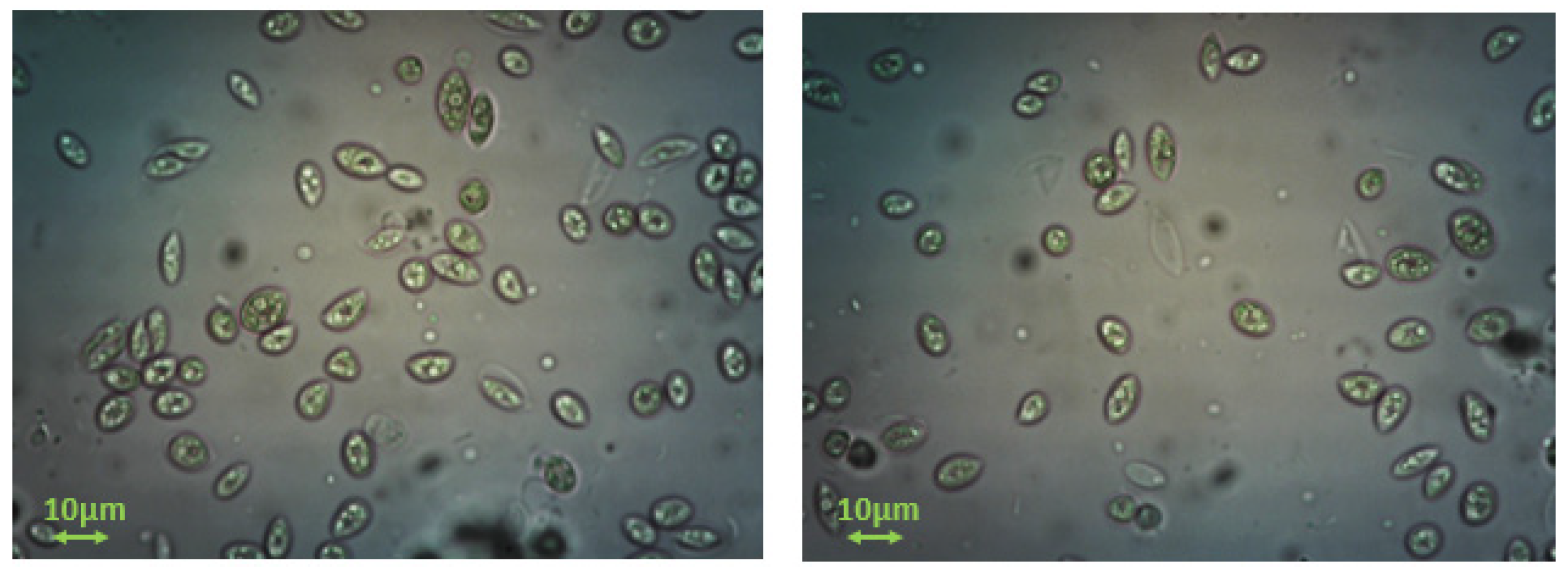 Biomimetics 07 00140 g003 Biomimetics 07 00140 g003