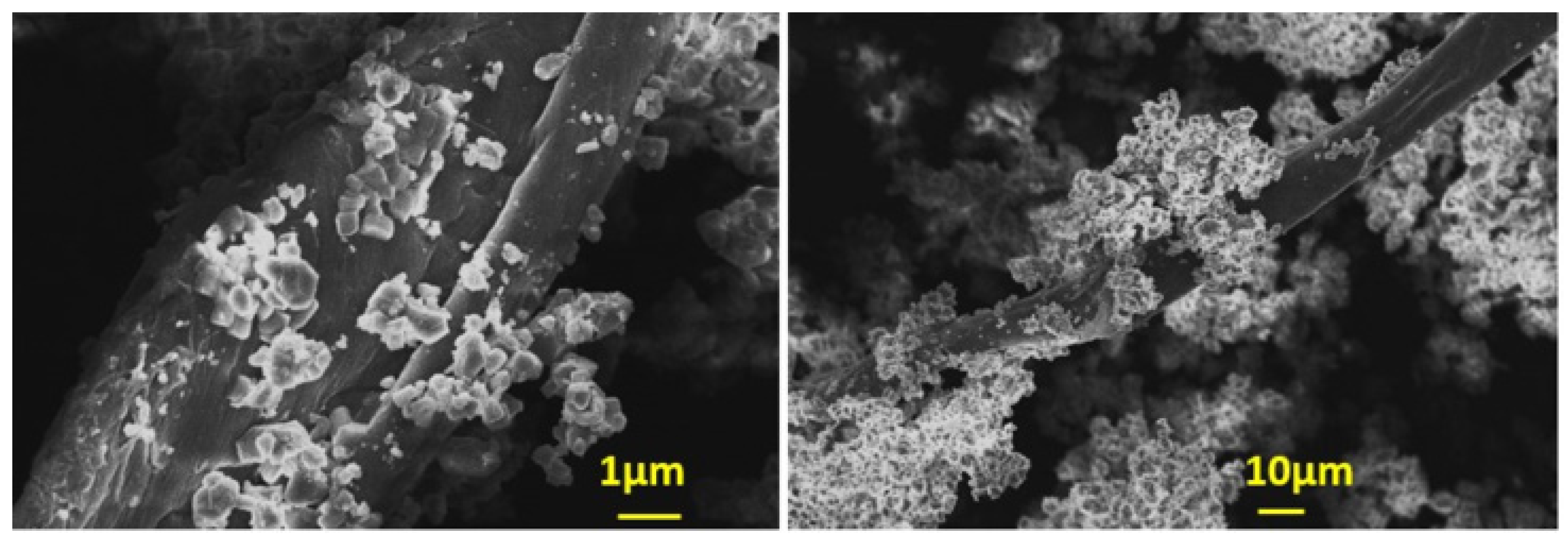 Biomimetics 07 00140 g007 Biomimetics 07 00140 g007