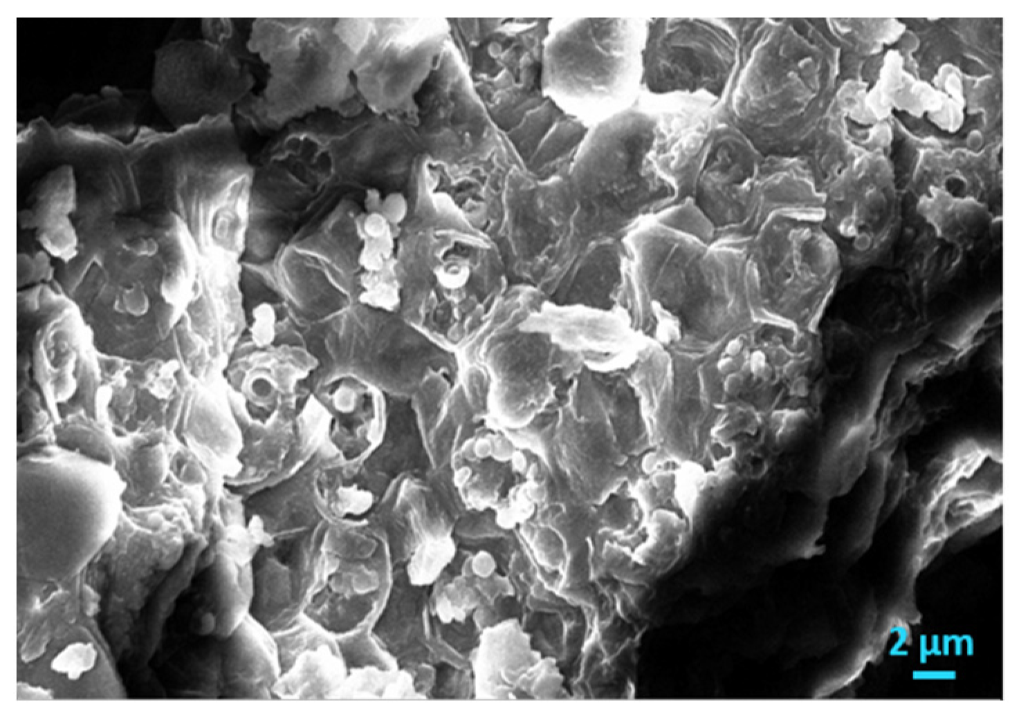 Biomimetics 07 00140 g016 Biomimetics 07 00140 g016