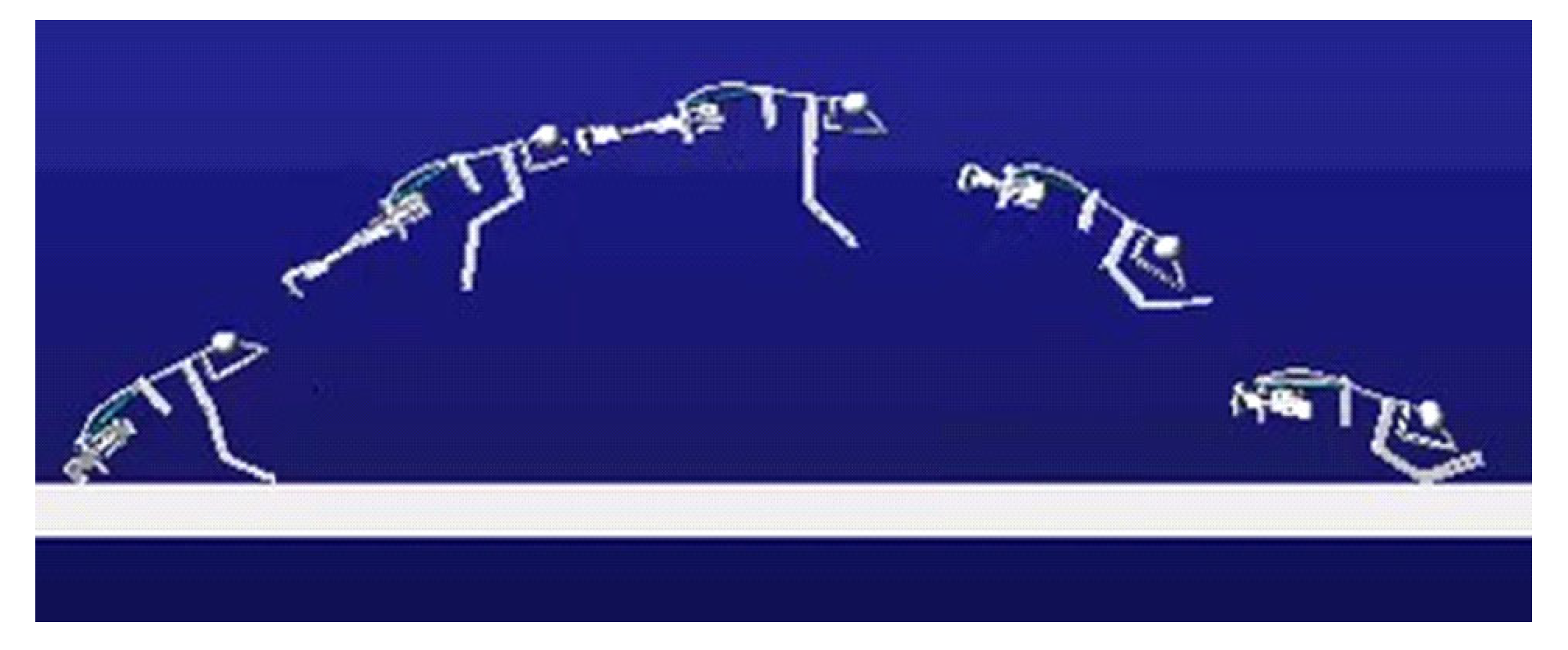 Biomimetics 07 00142 g005