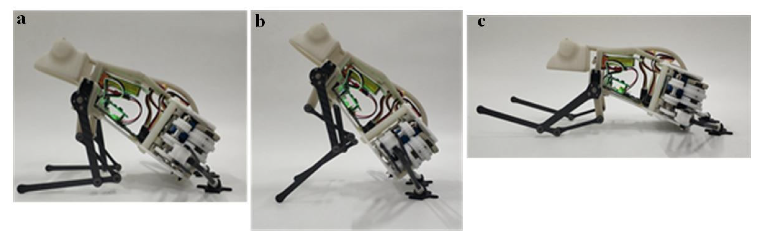 Biomimetics 07 00142 g013