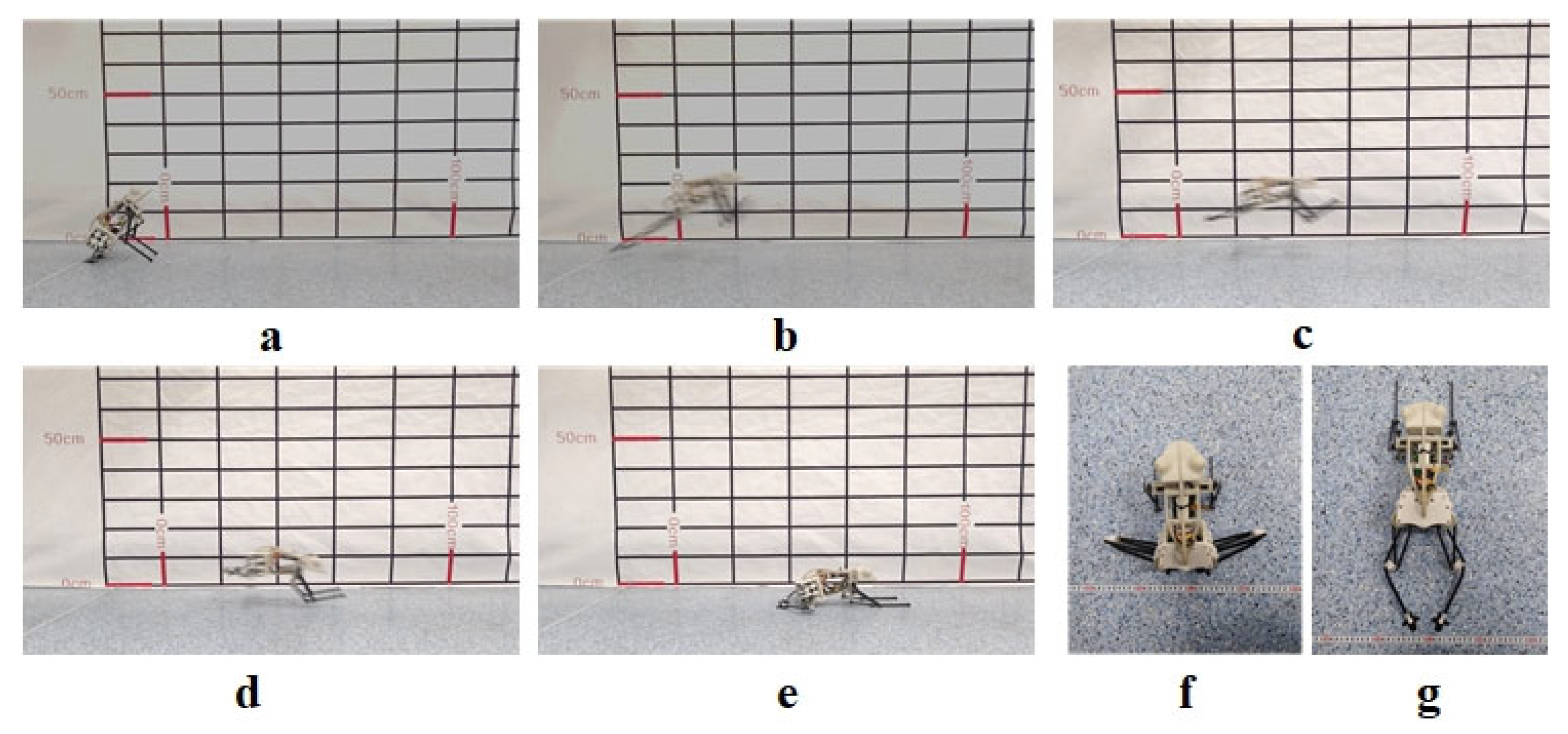 Biomimetics 07 00142 g016