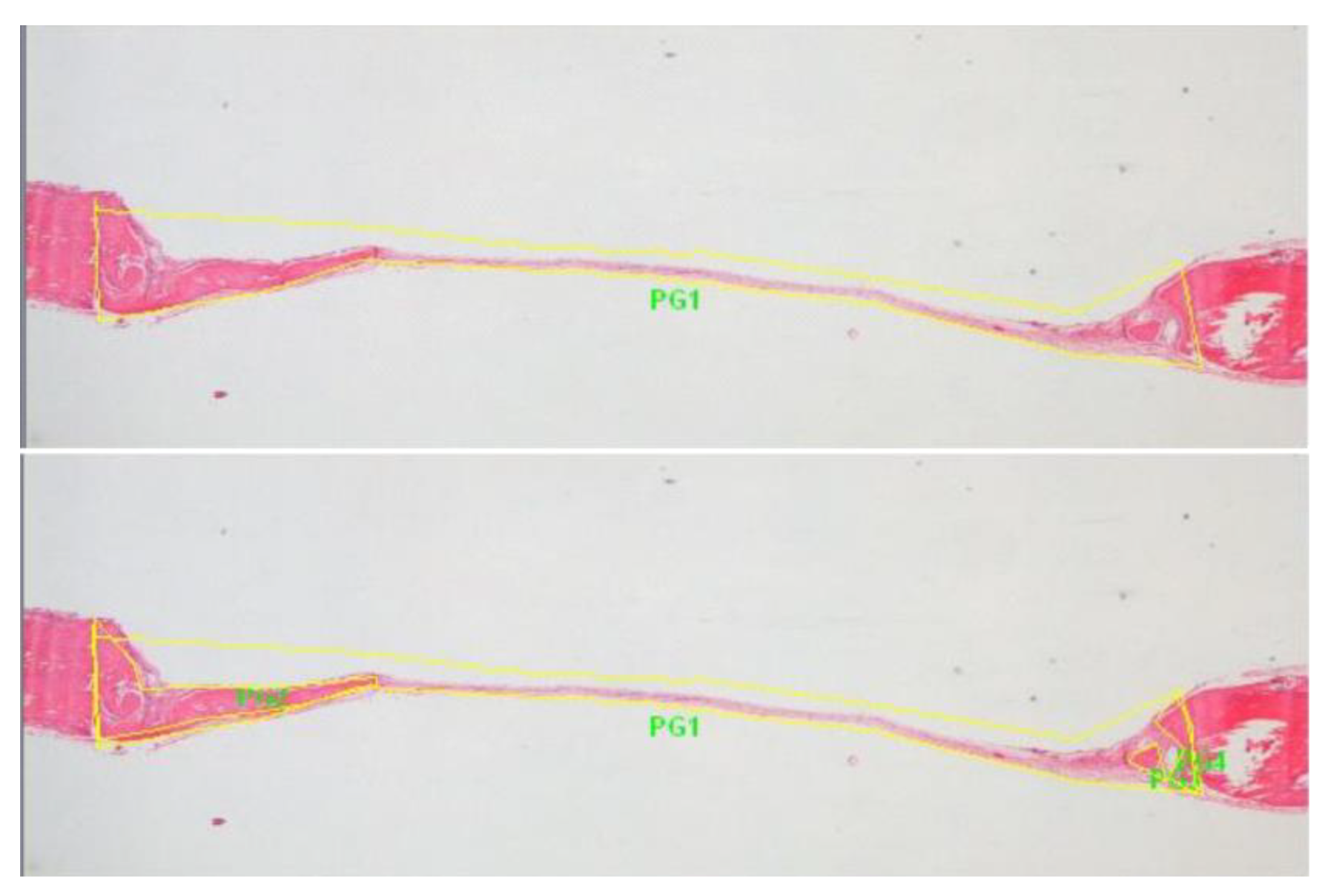Biomimetics 07 00143 g002