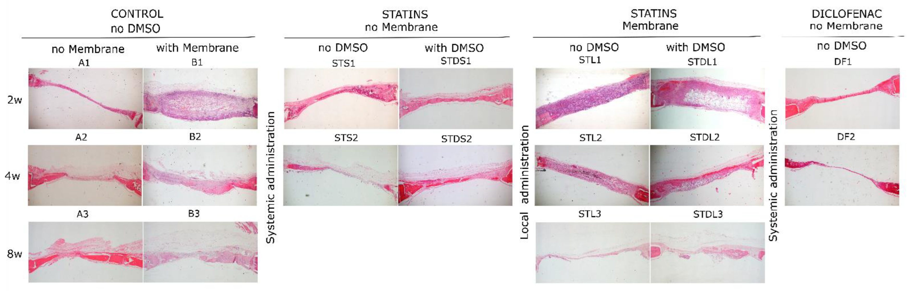 Biomimetics 07 00143 g004