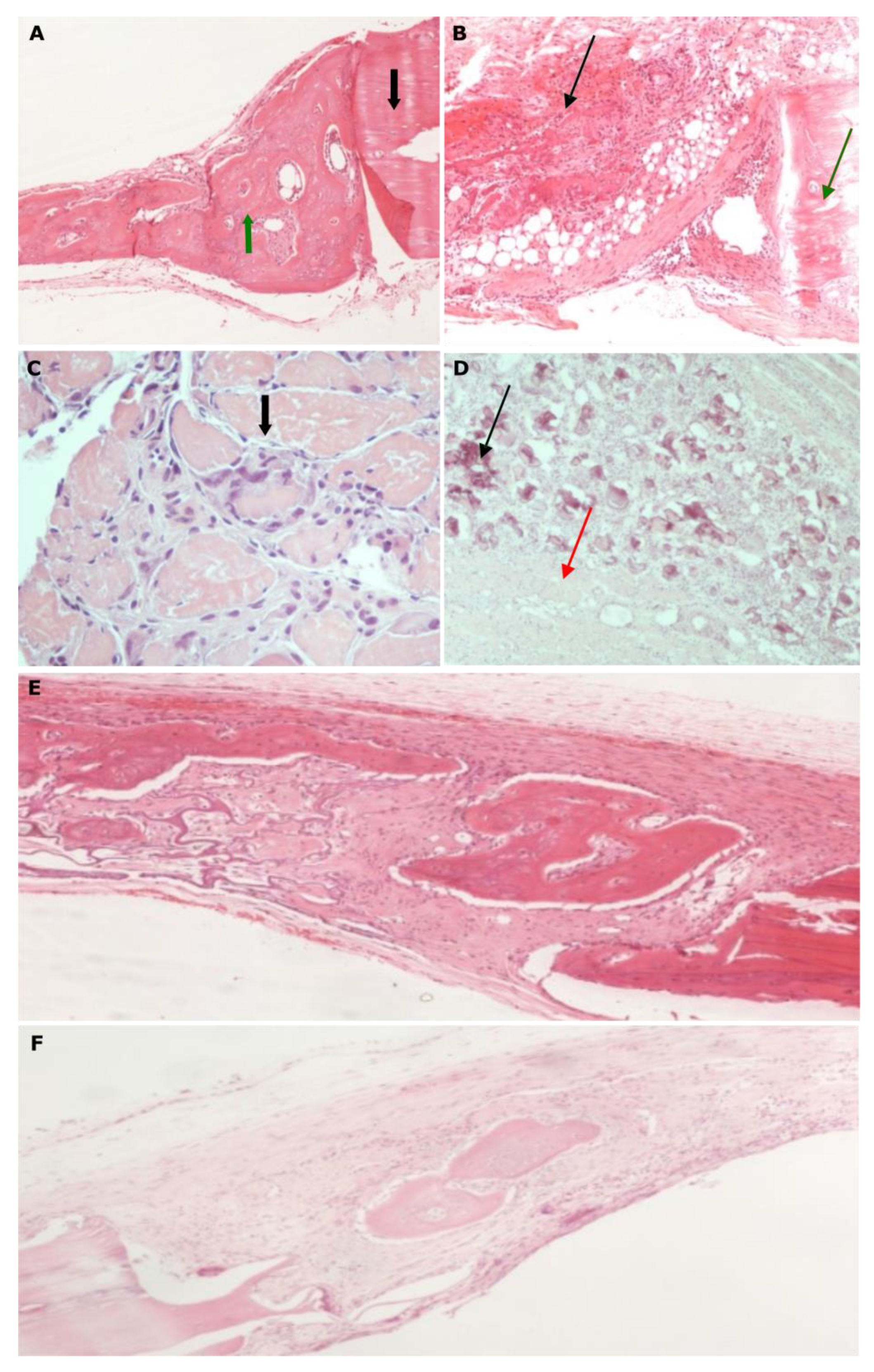Biomimetics 07 00143 g007