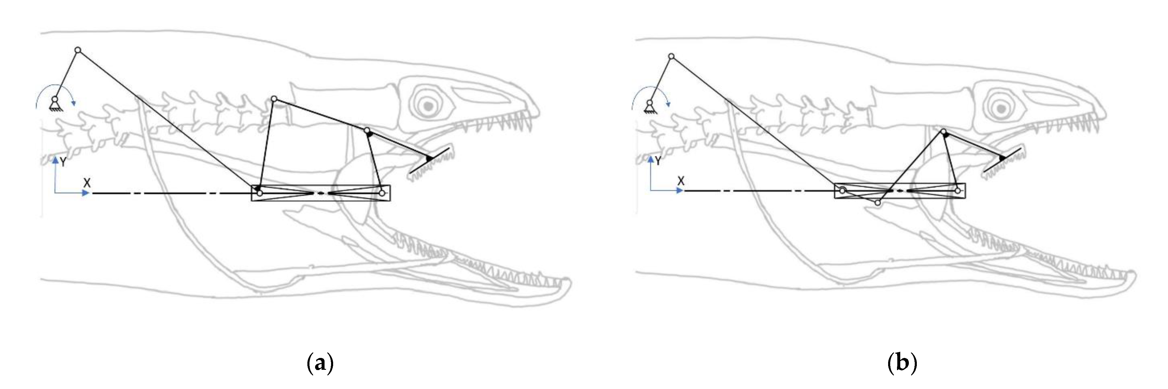 Biomimetics 07 00145 g005