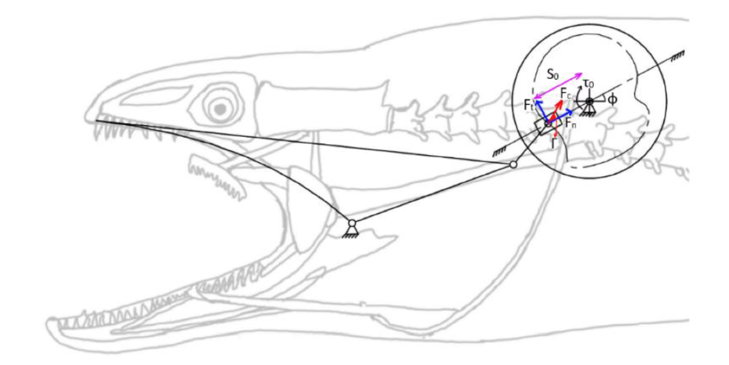 Biomimetics 07 00145 g016