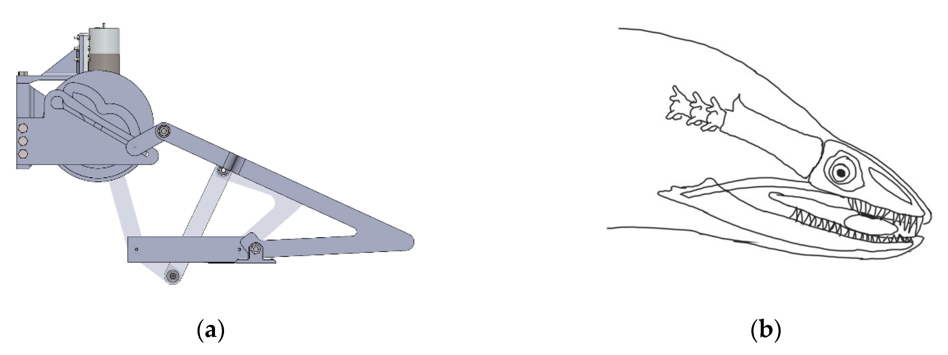 Biomimetics 07 00145 g021