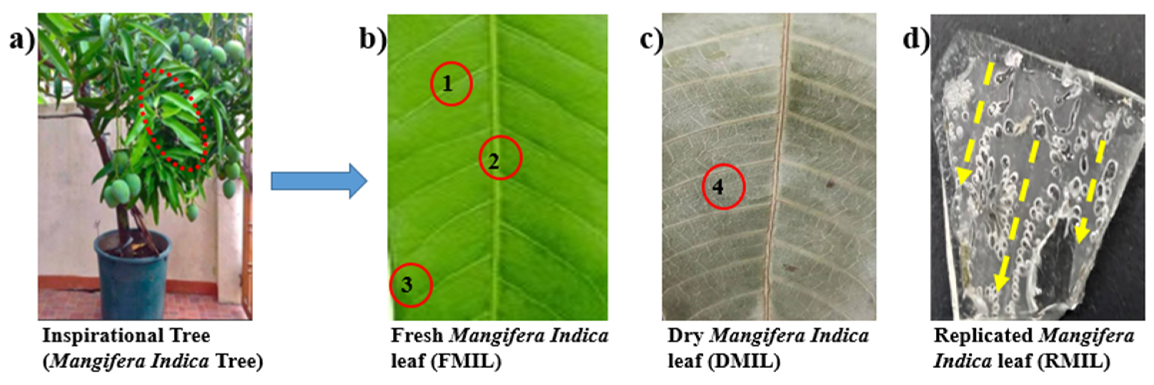 Biomimetics 07 00147 g001