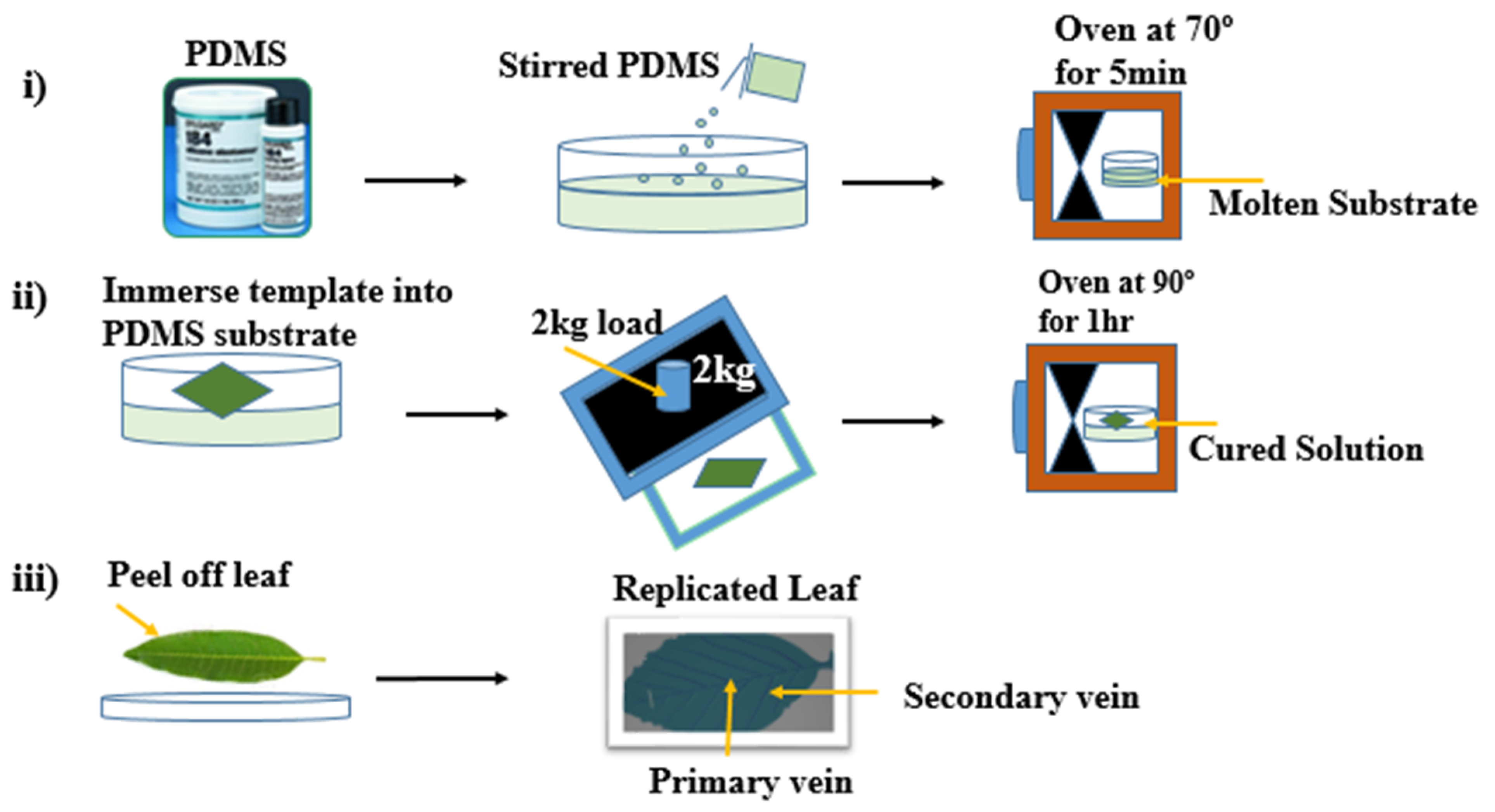 Biomimetics 07 00147 g002