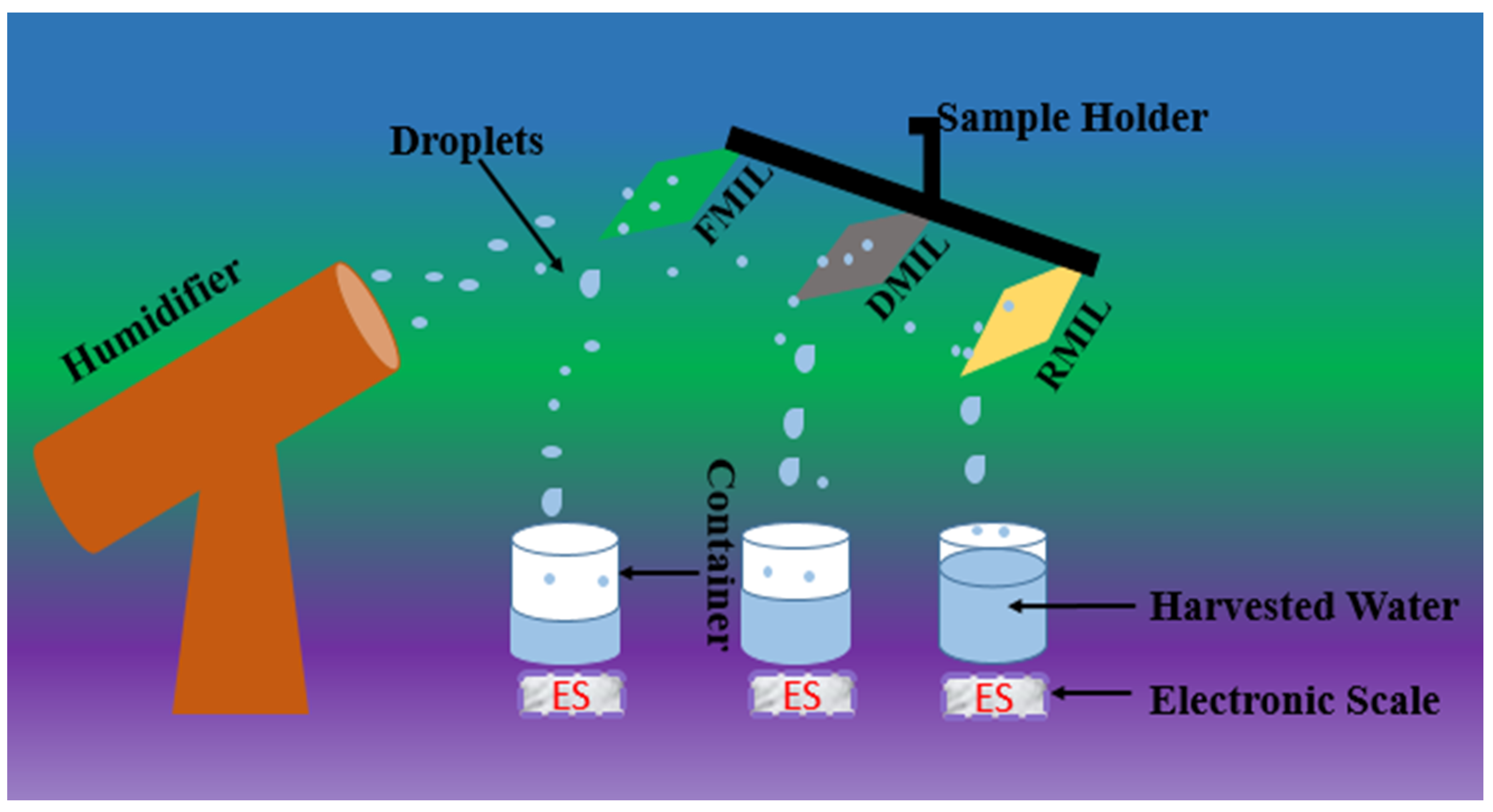 Biomimetics 07 00147 g003