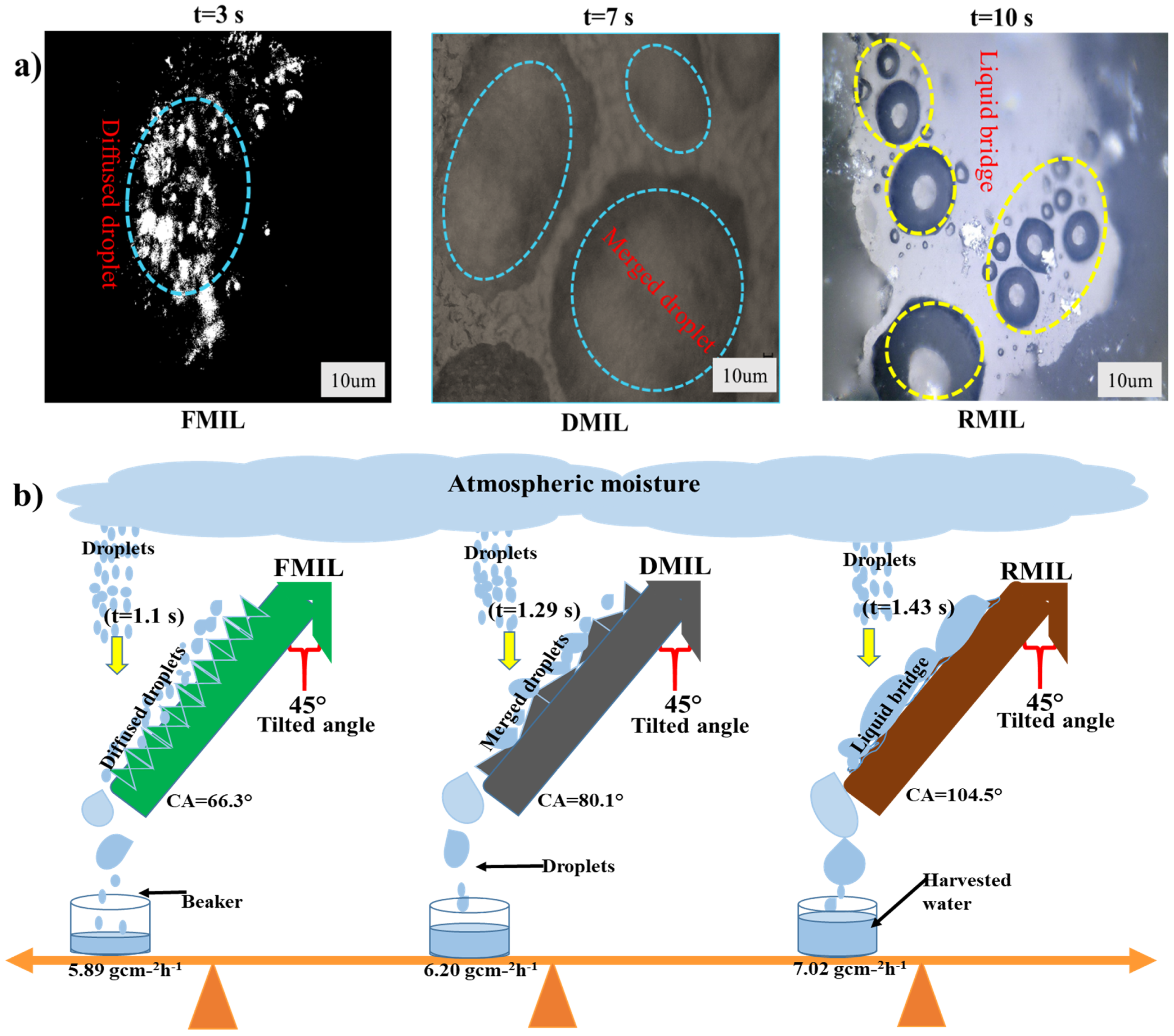 Biomimetics 07 00147 g005