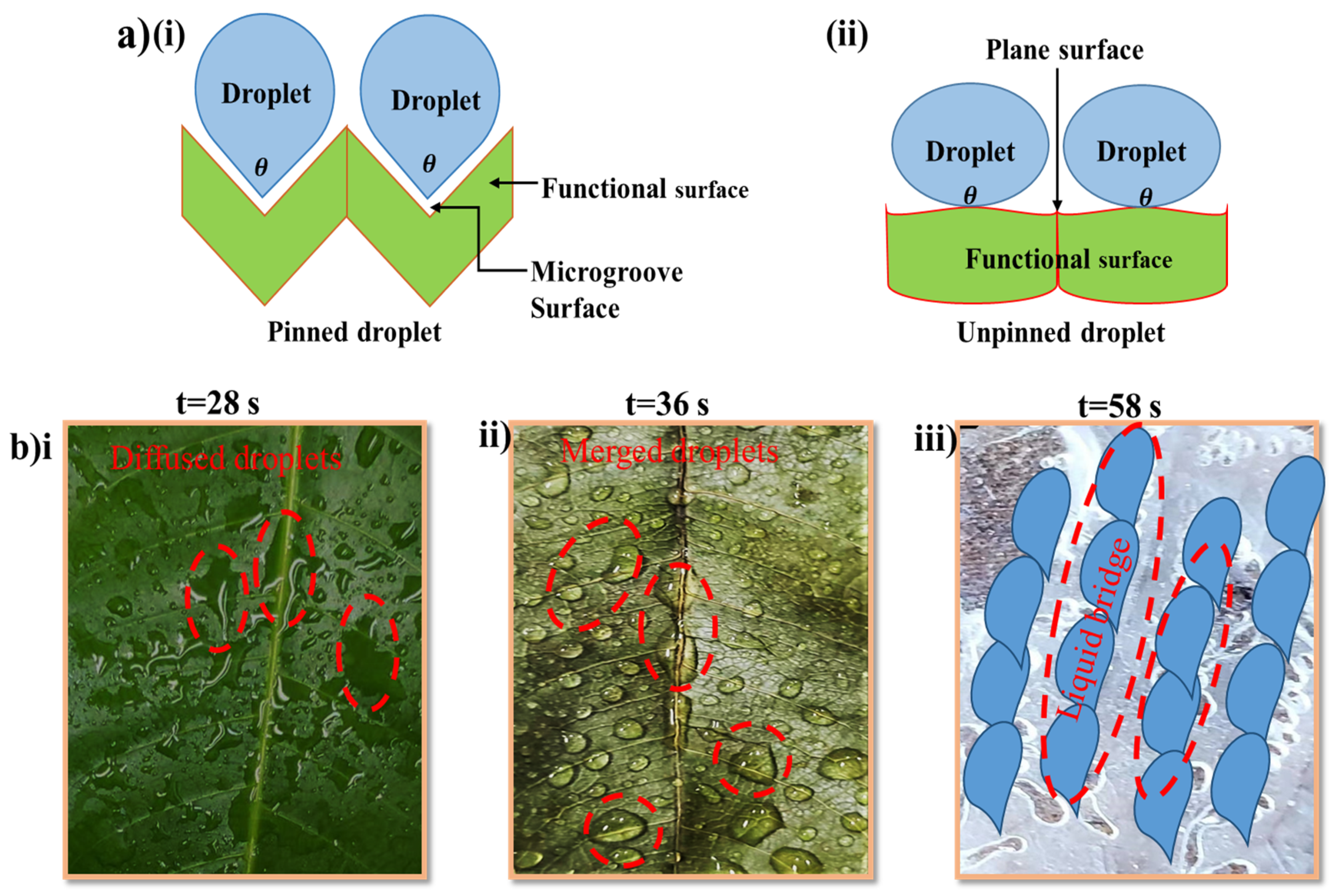 Biomimetics 07 00147 g007