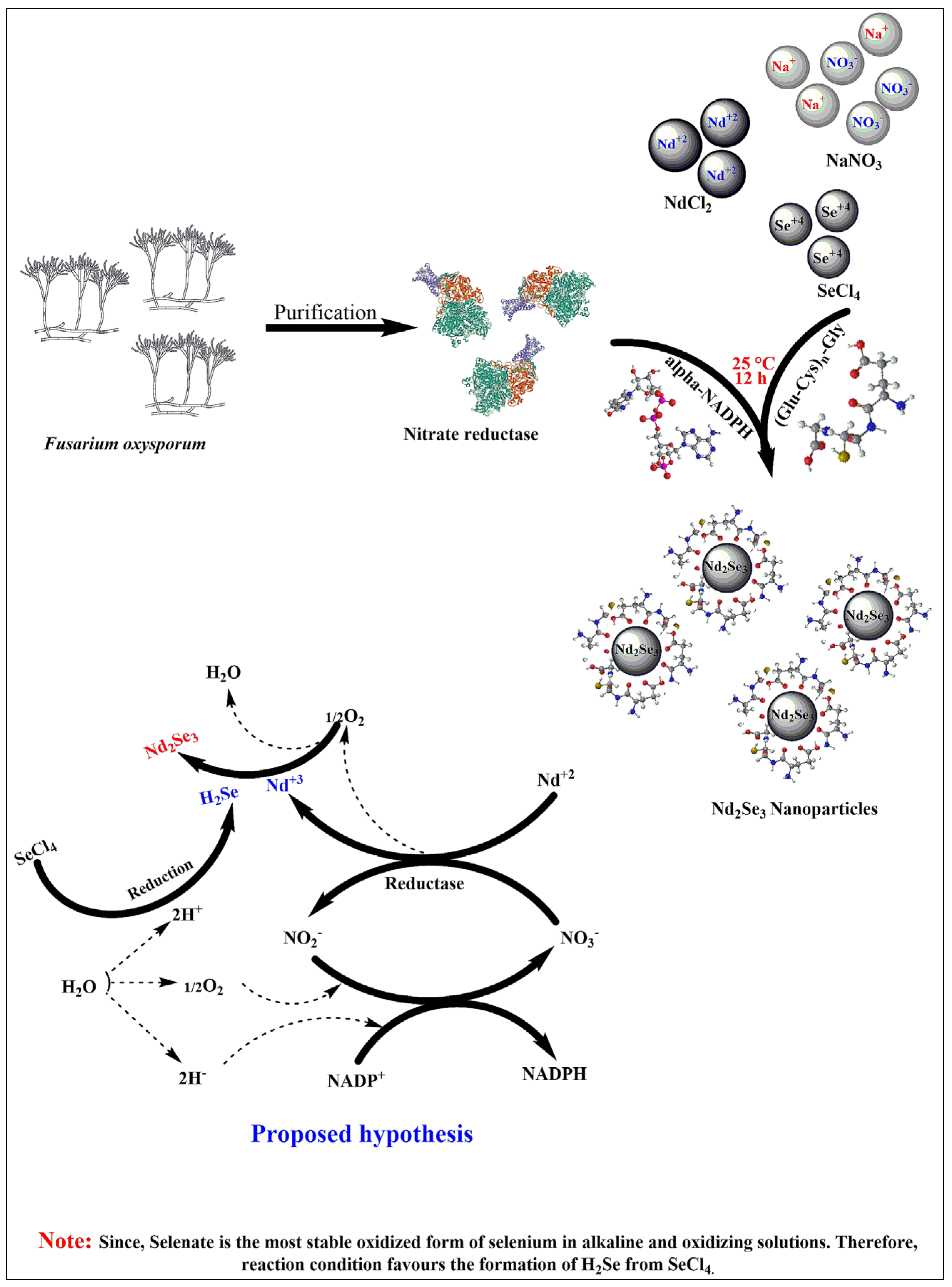 Biomimetics 07 00150 g001 Biomimetics 07 00150 g001