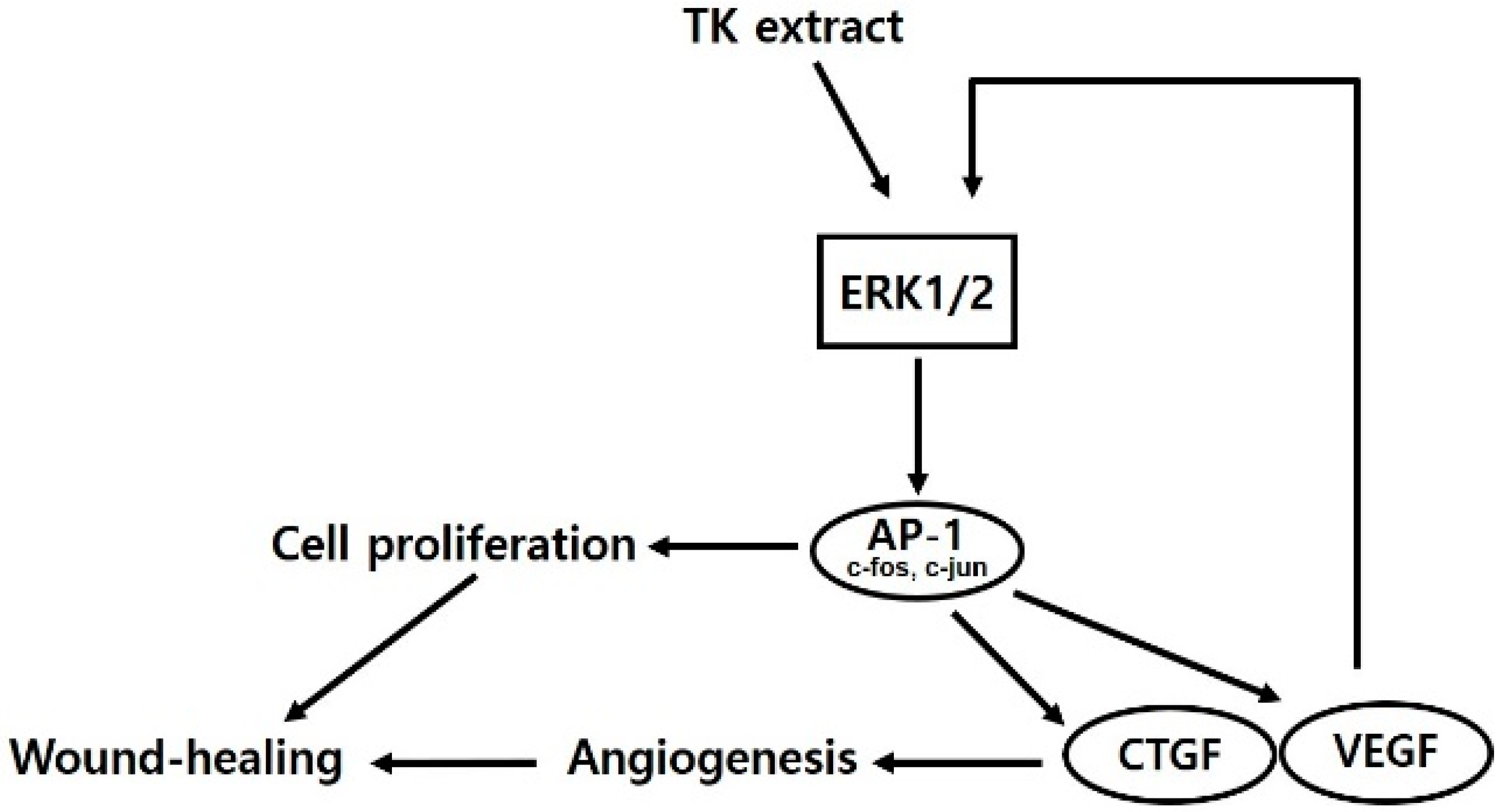 Biomimetics 07 00154 g009