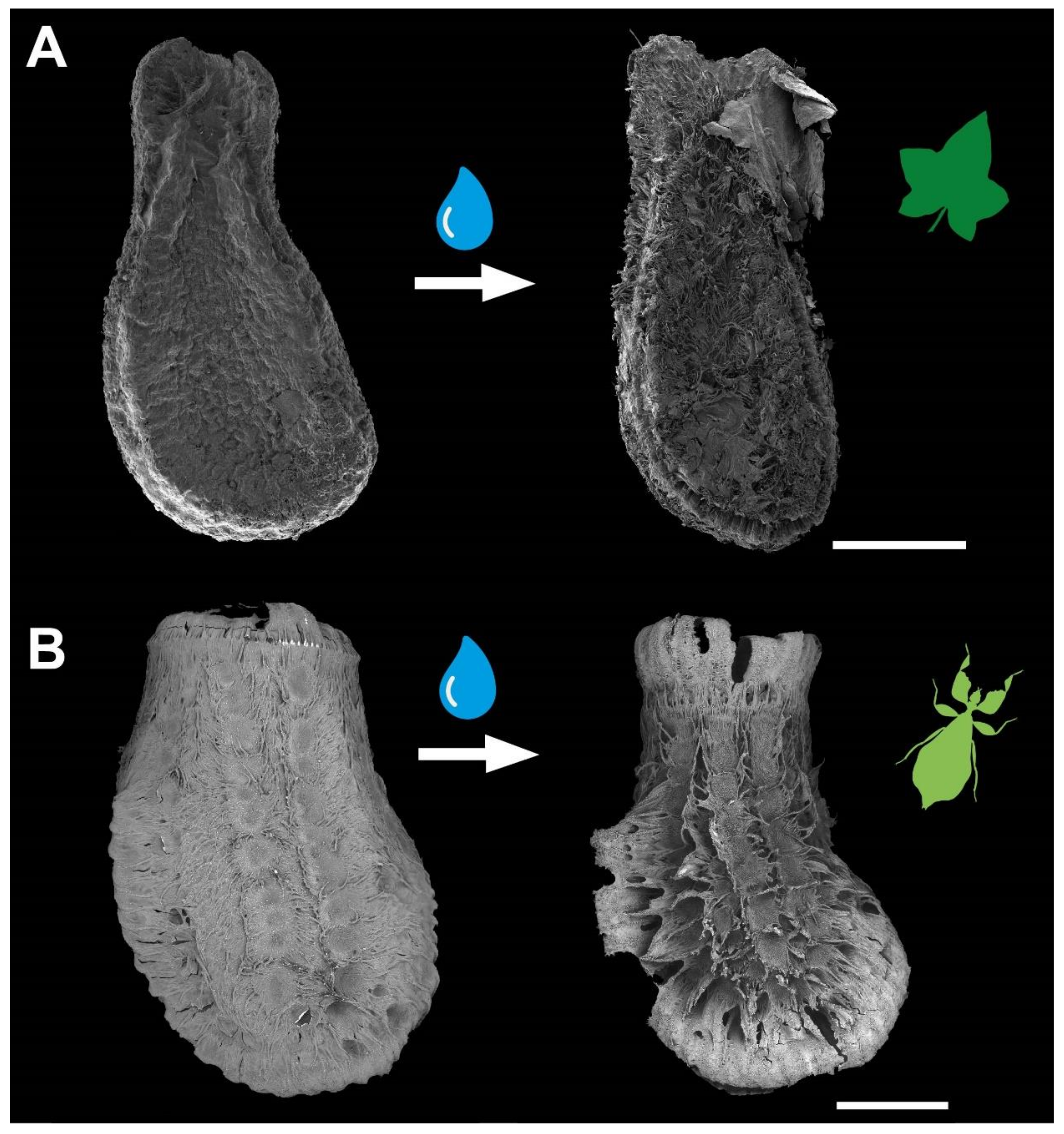 Biomimetics 07 00173 g002