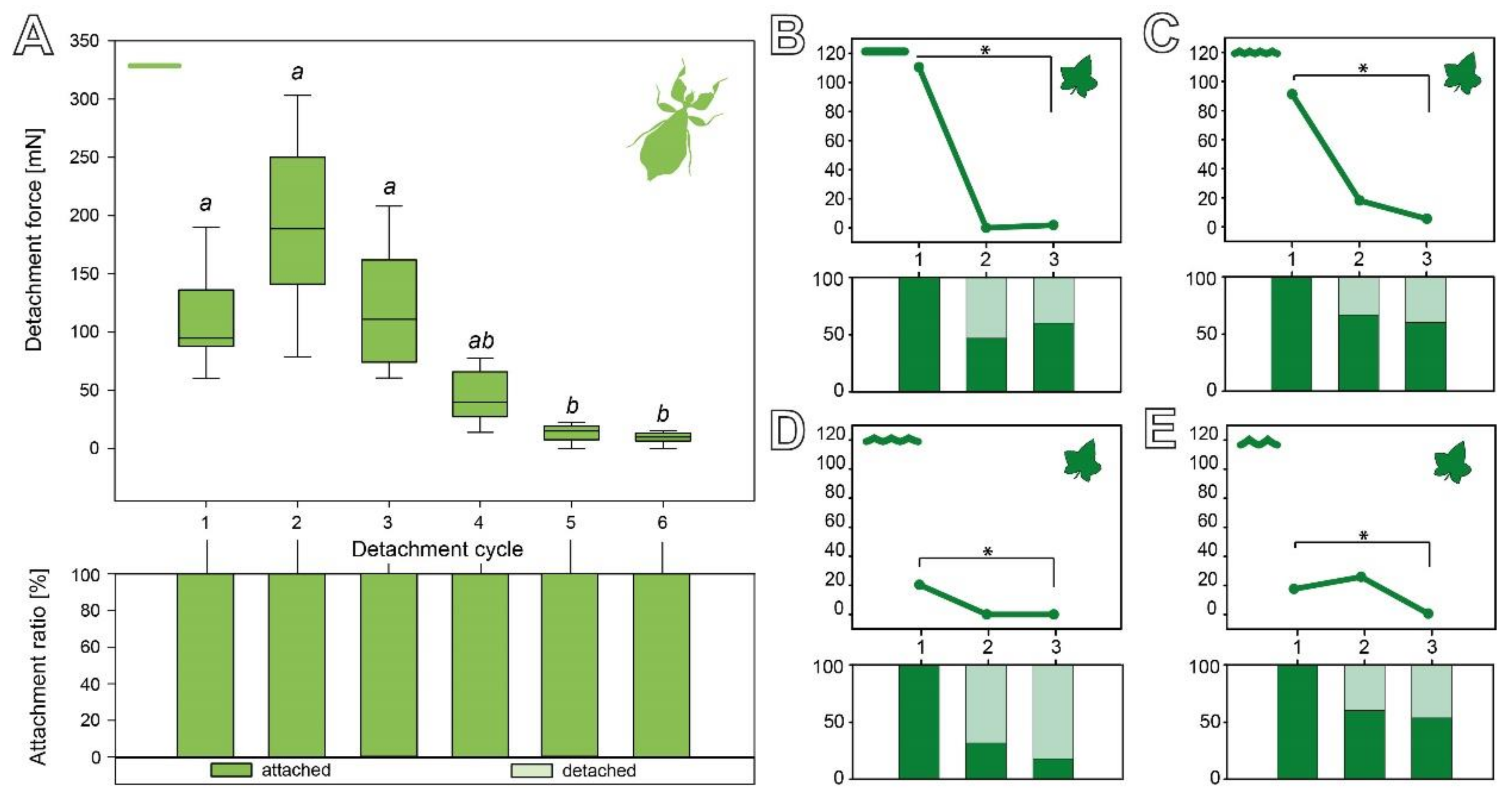 Biomimetics 07 00173 g006