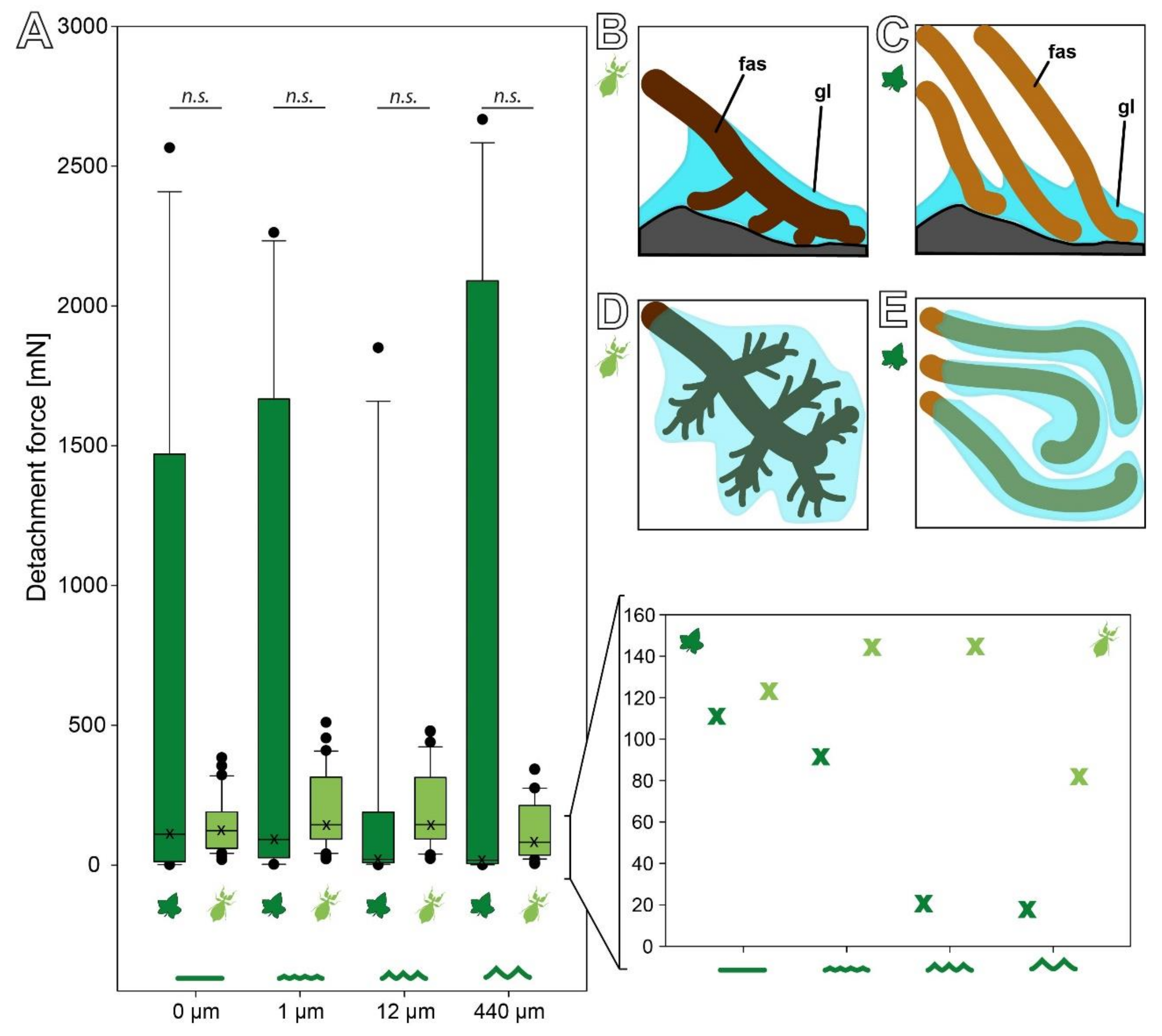 Biomimetics 07 00173 g007