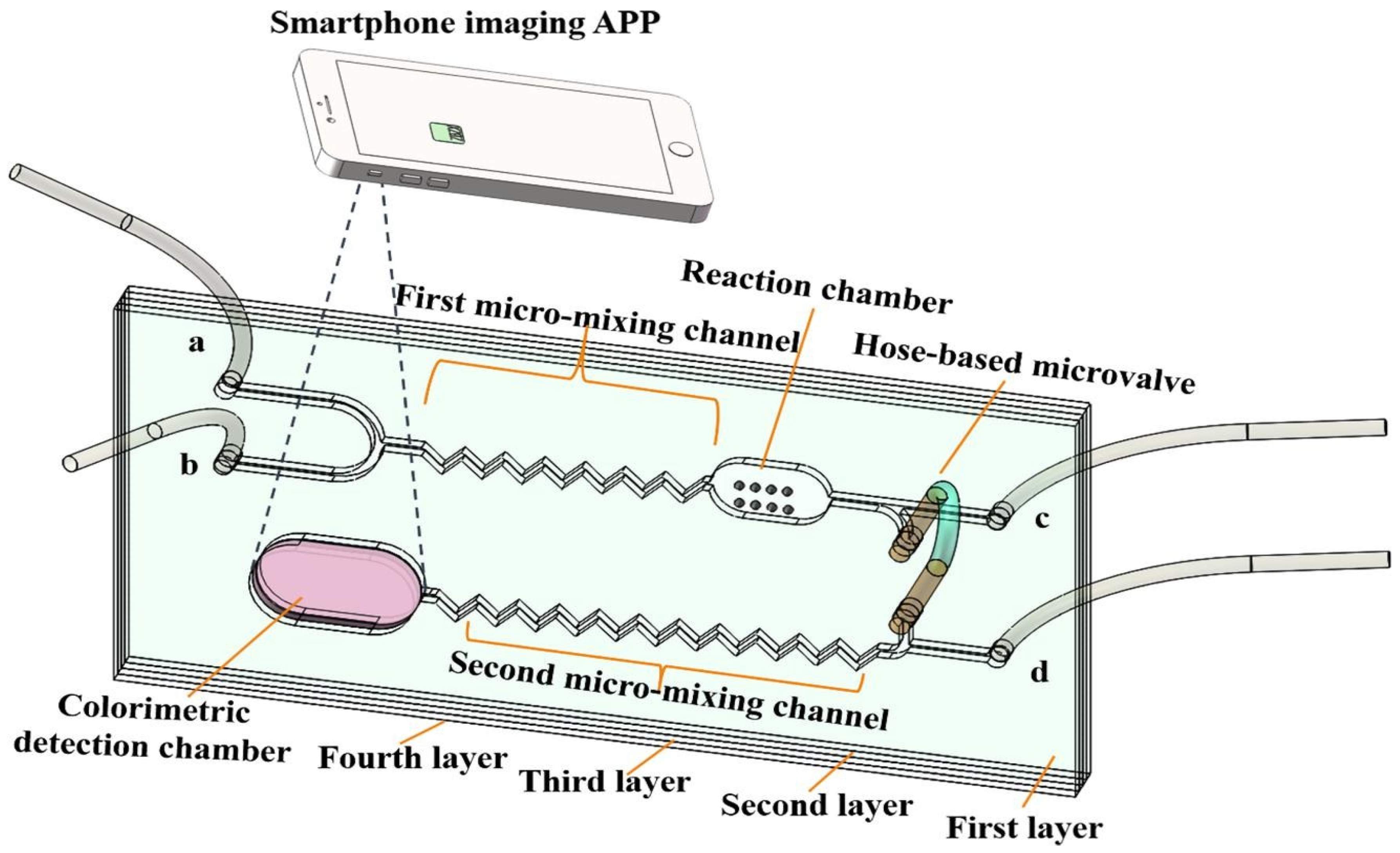 Biomimetics 07 00175 sch004