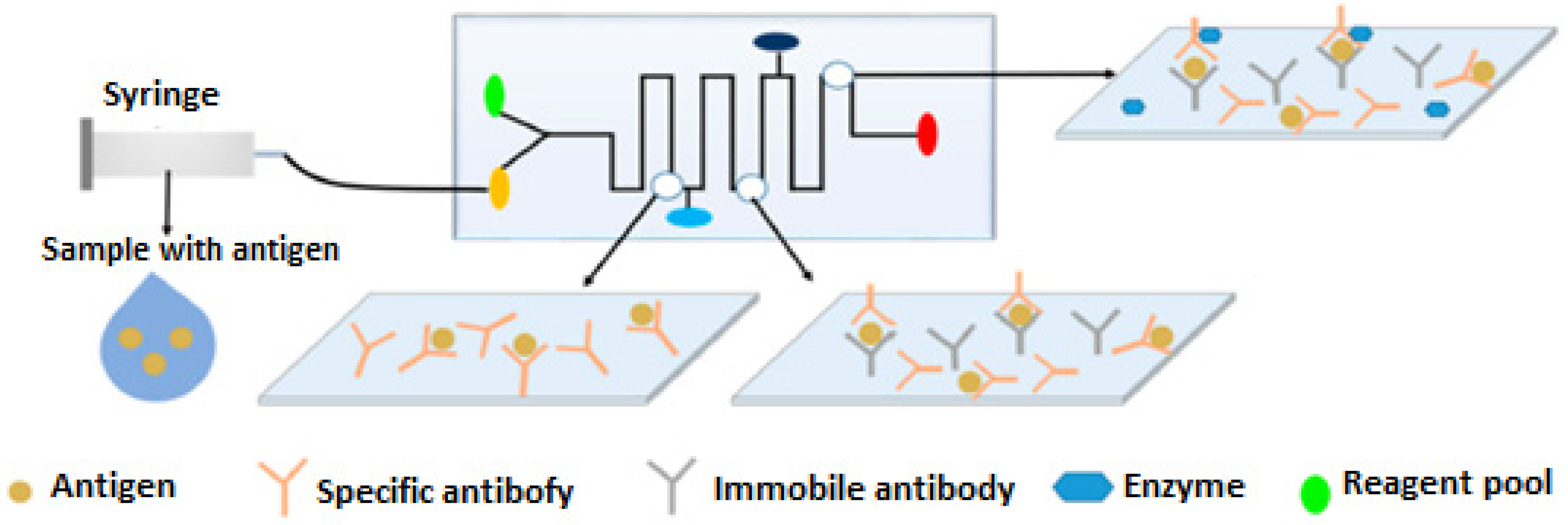 Biomimetics 07 00175 sch006