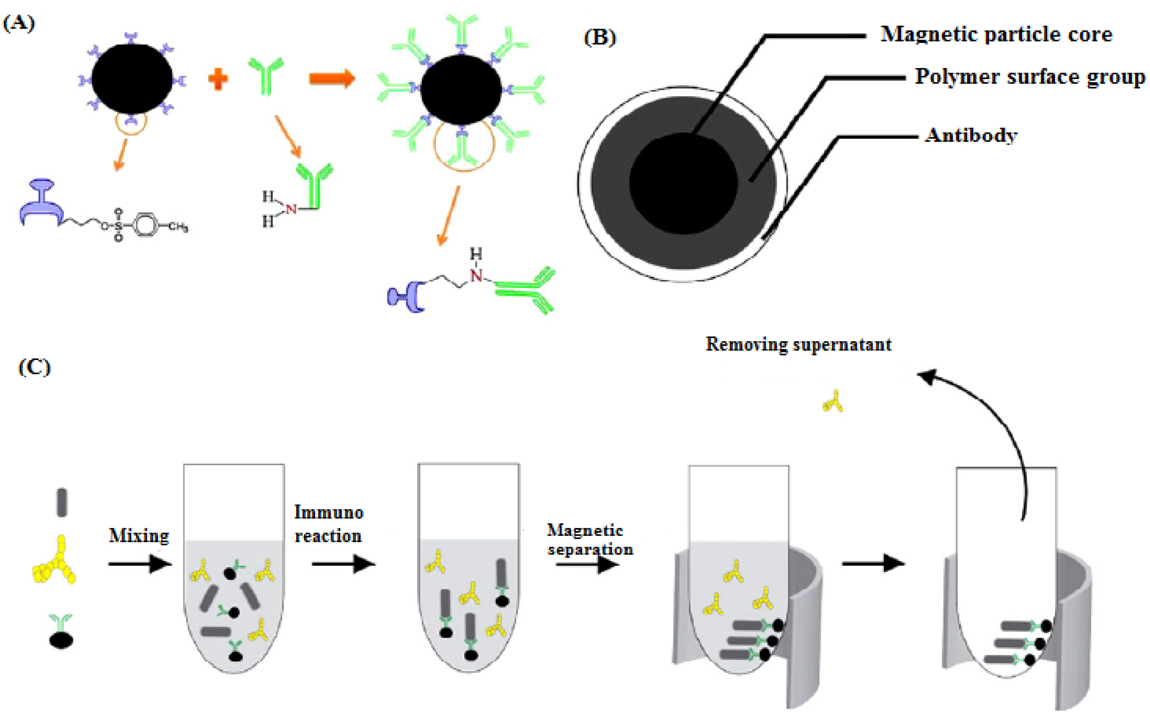 Biomimetics 07 00175 sch007
