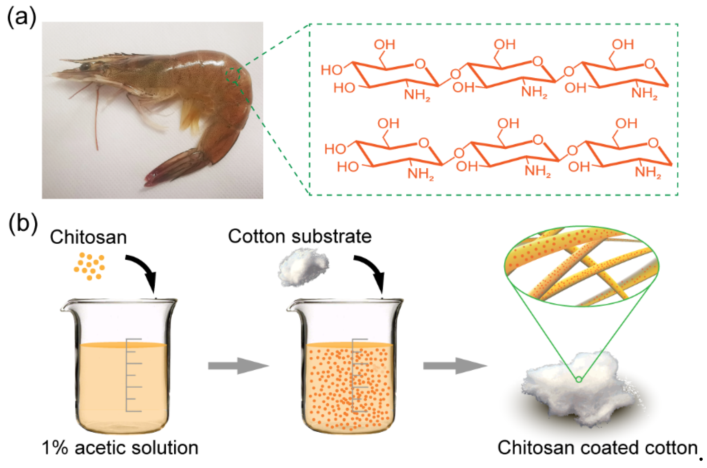 Biomimetics 07 00177 g001