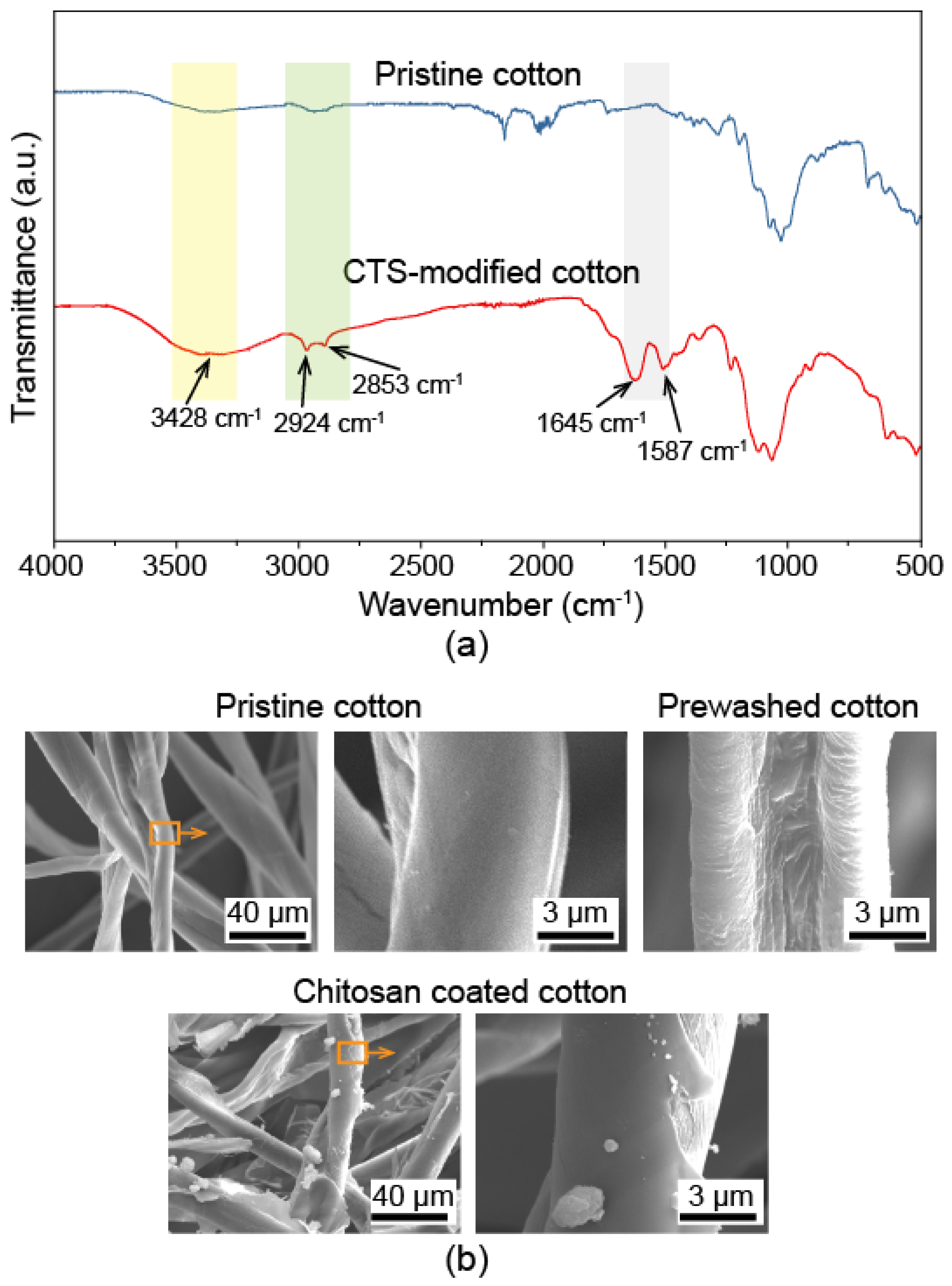 Biomimetics 07 00177 g002