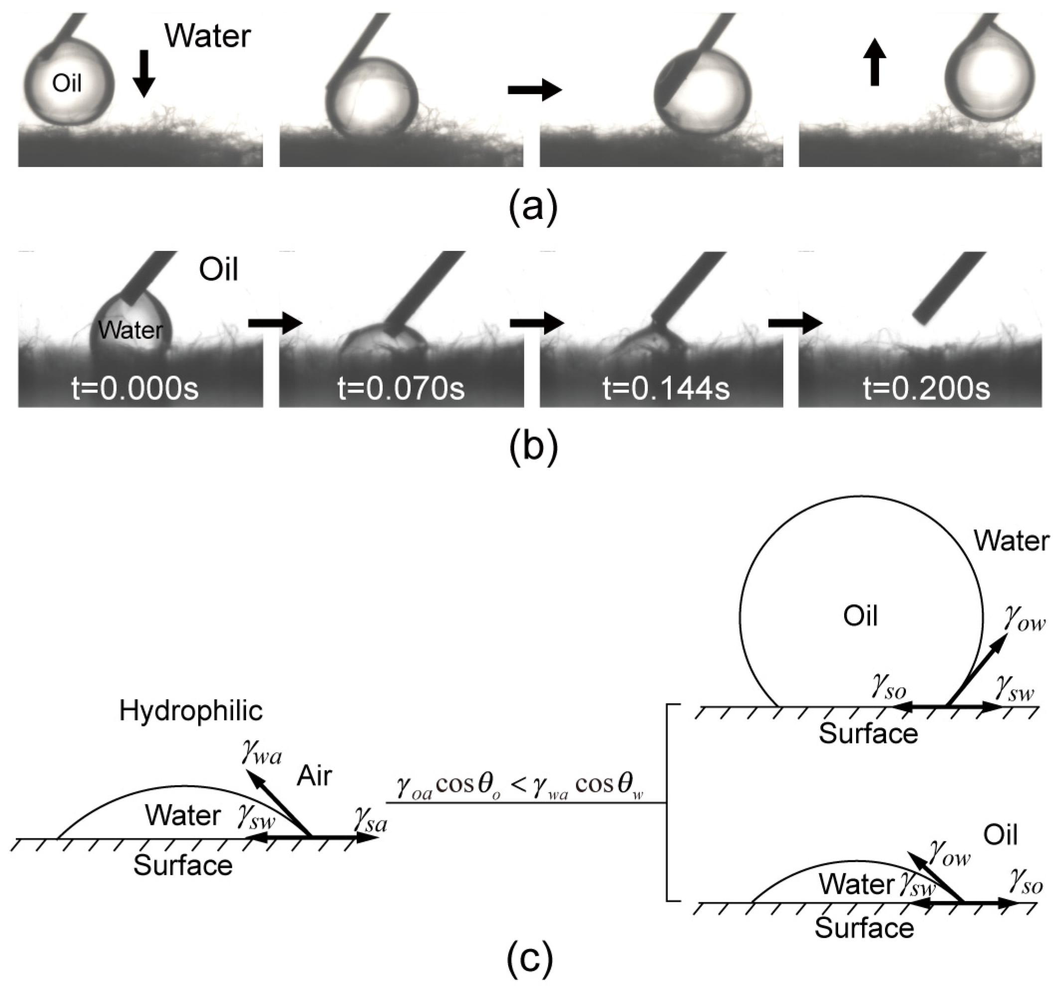 Biomimetics 07 00177 g004