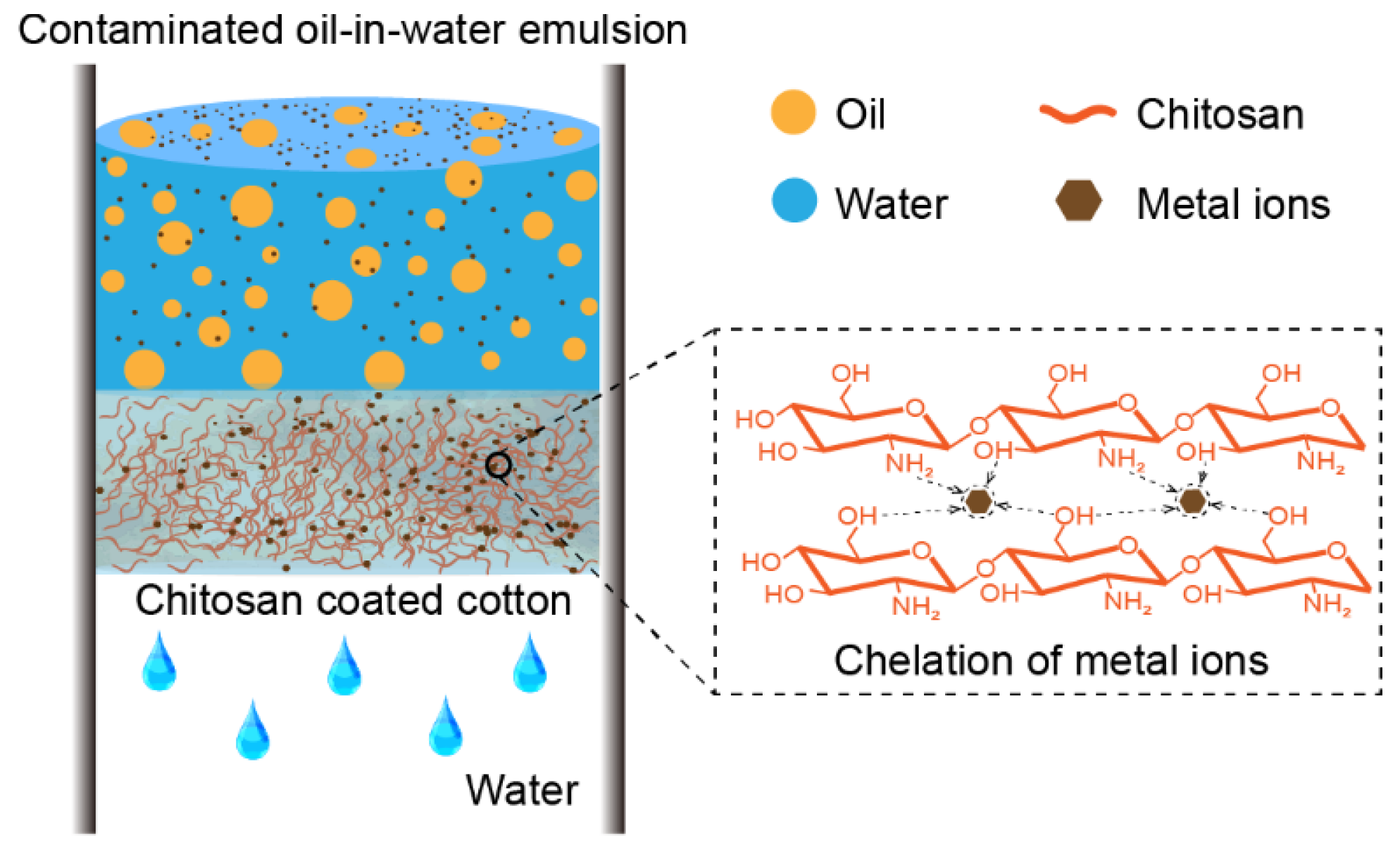 Biomimetics 07 00177 g007