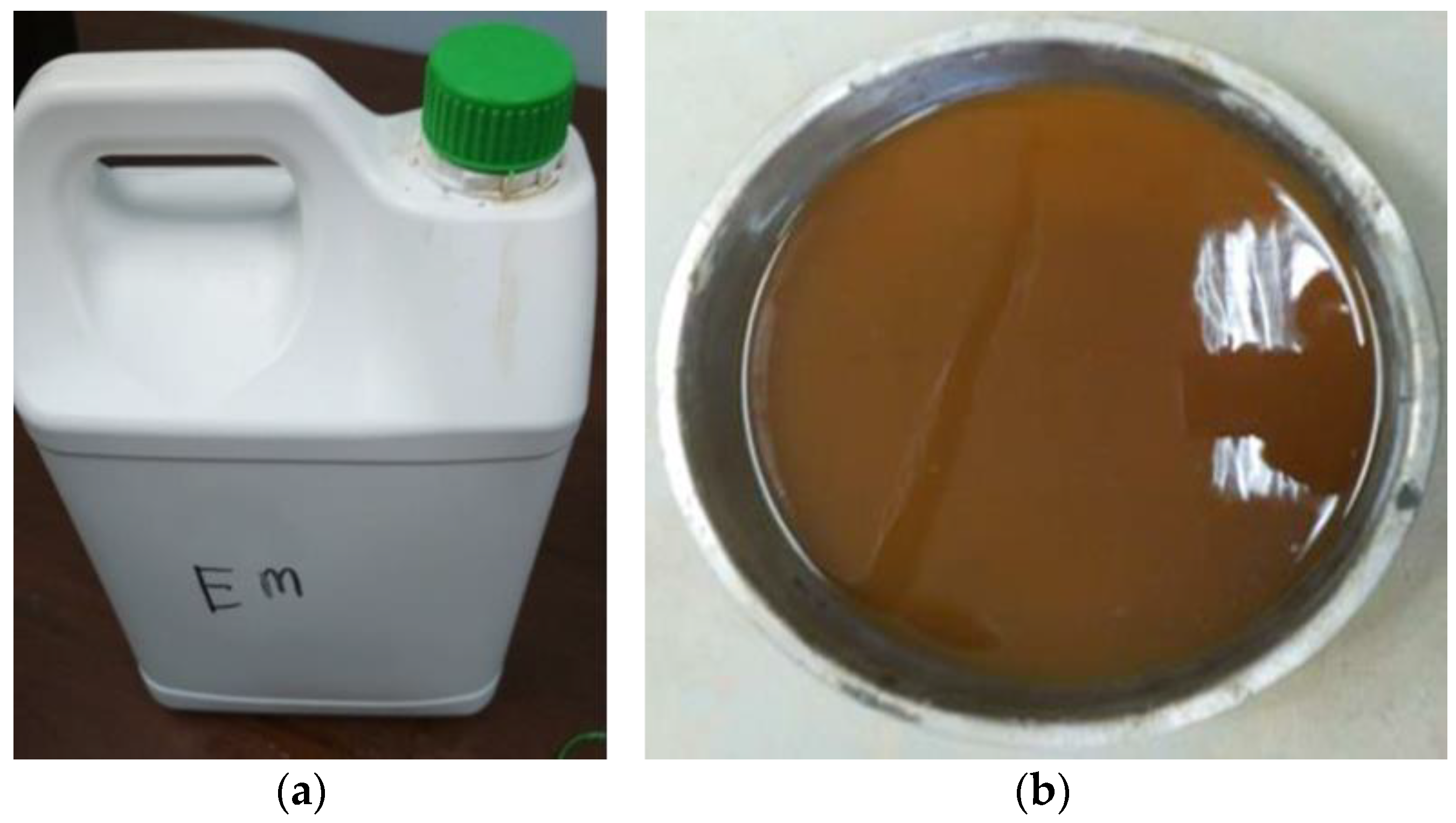 Biomimetics 07 00190 g003