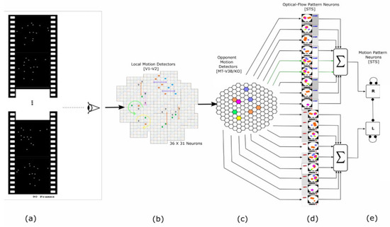 Biomimetics 07 00193 g001