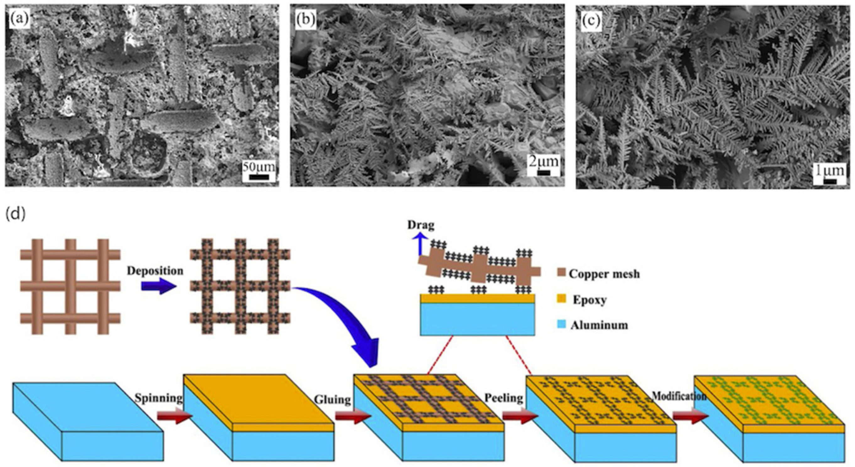 Biomimetics 07 00196 g008