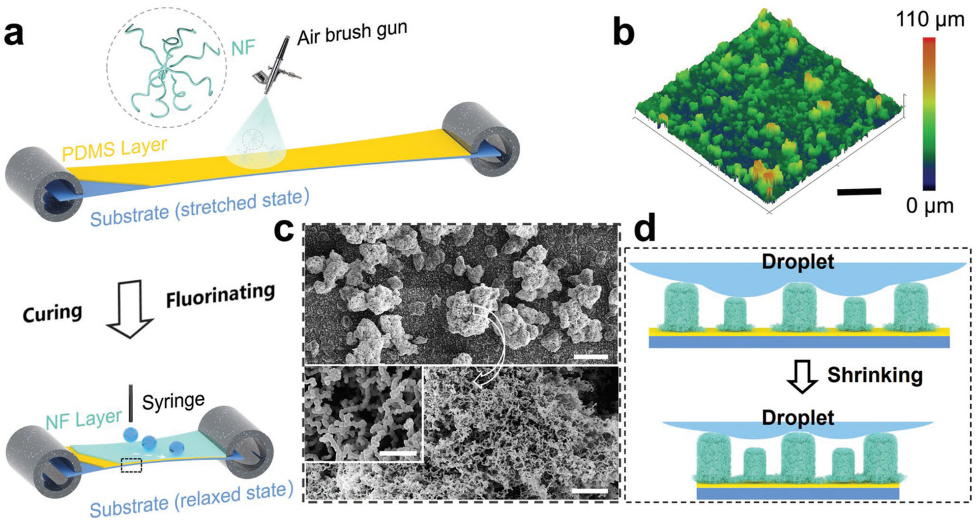 Biomimetics 07 00196 g010