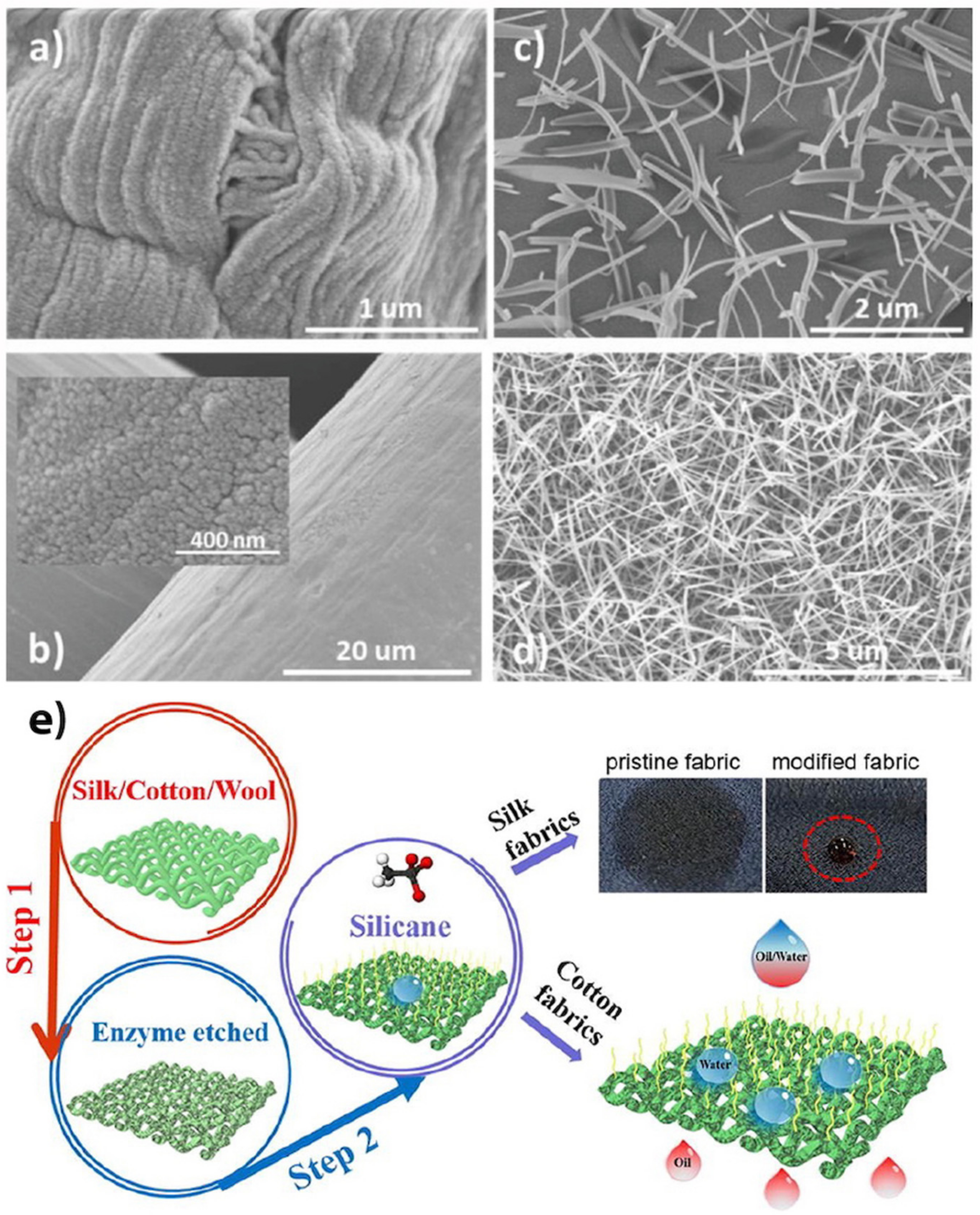 Biomimetics 07 00196 g015