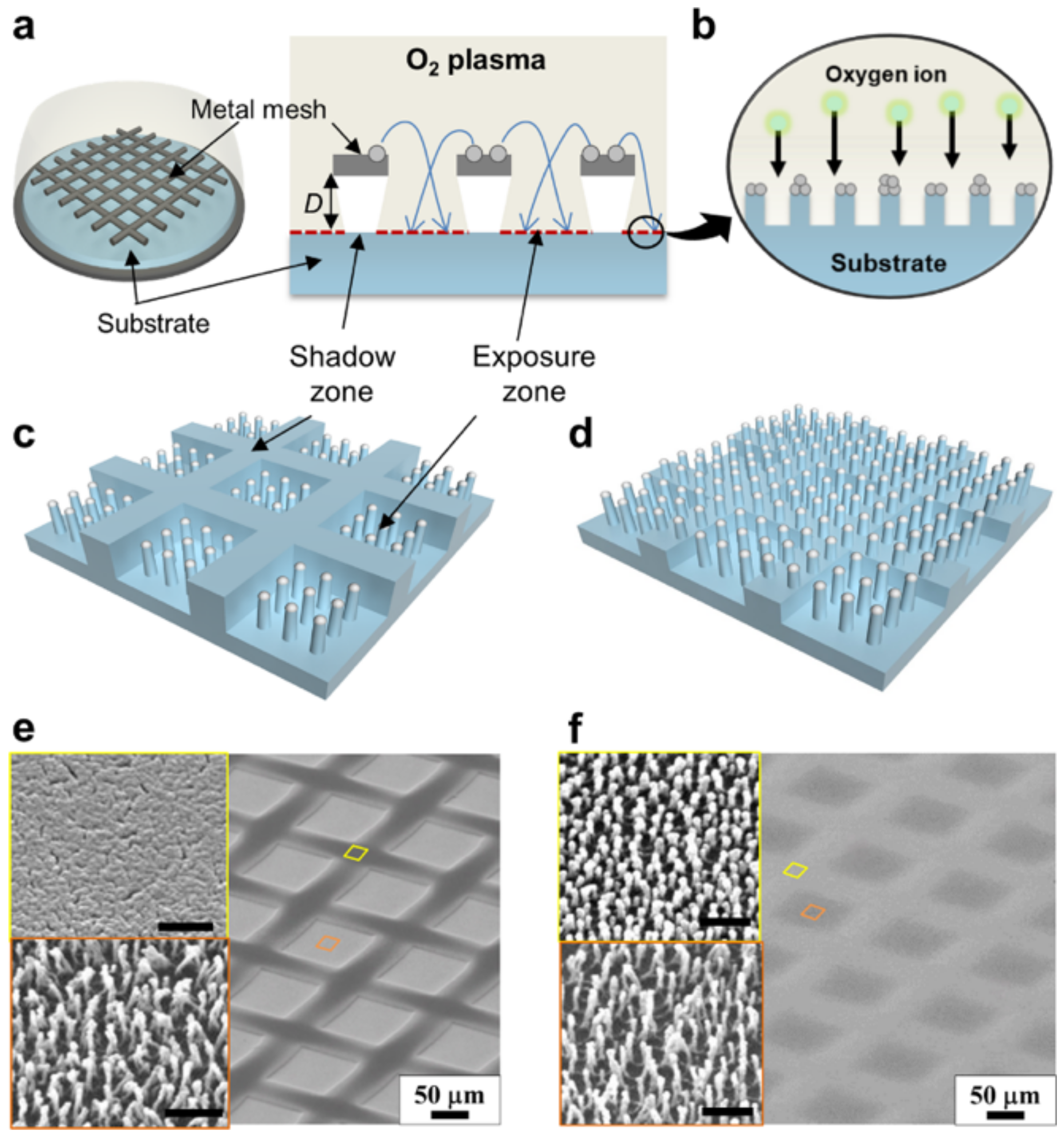 Biomimetics 07 00196 g016